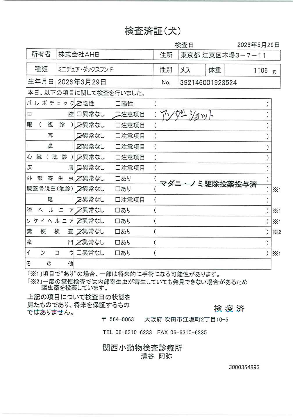 ミニチュア・ダックスフンド