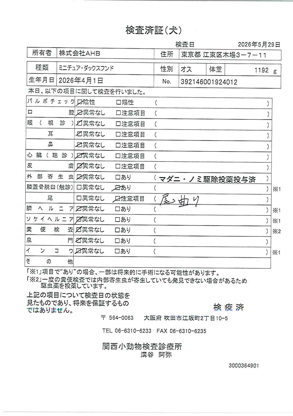 ミニチュア・ダックスフンド