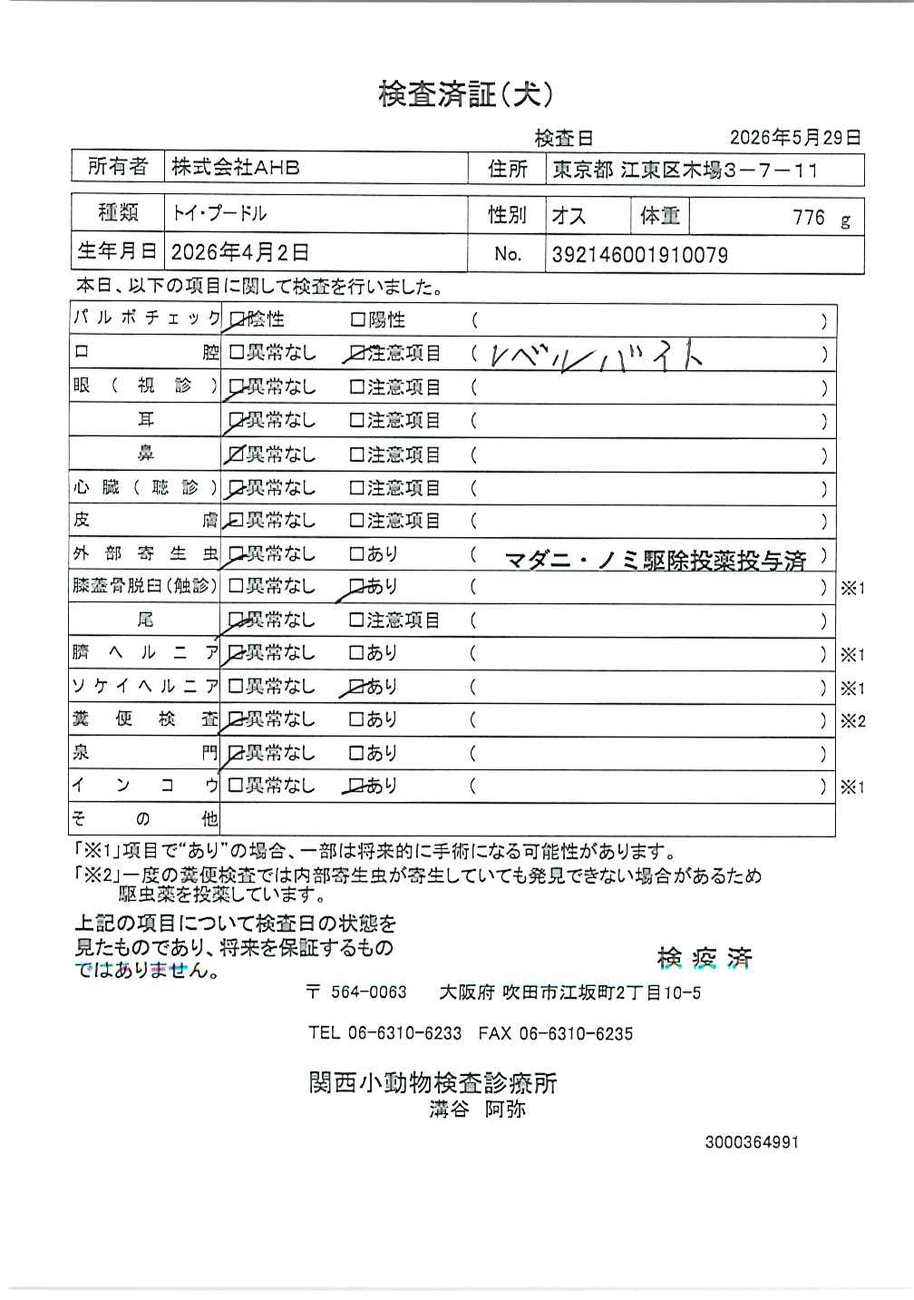 トイ・プードル