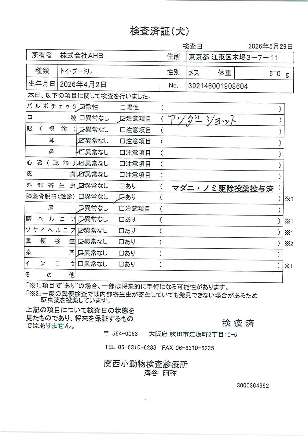 トイ・プードル