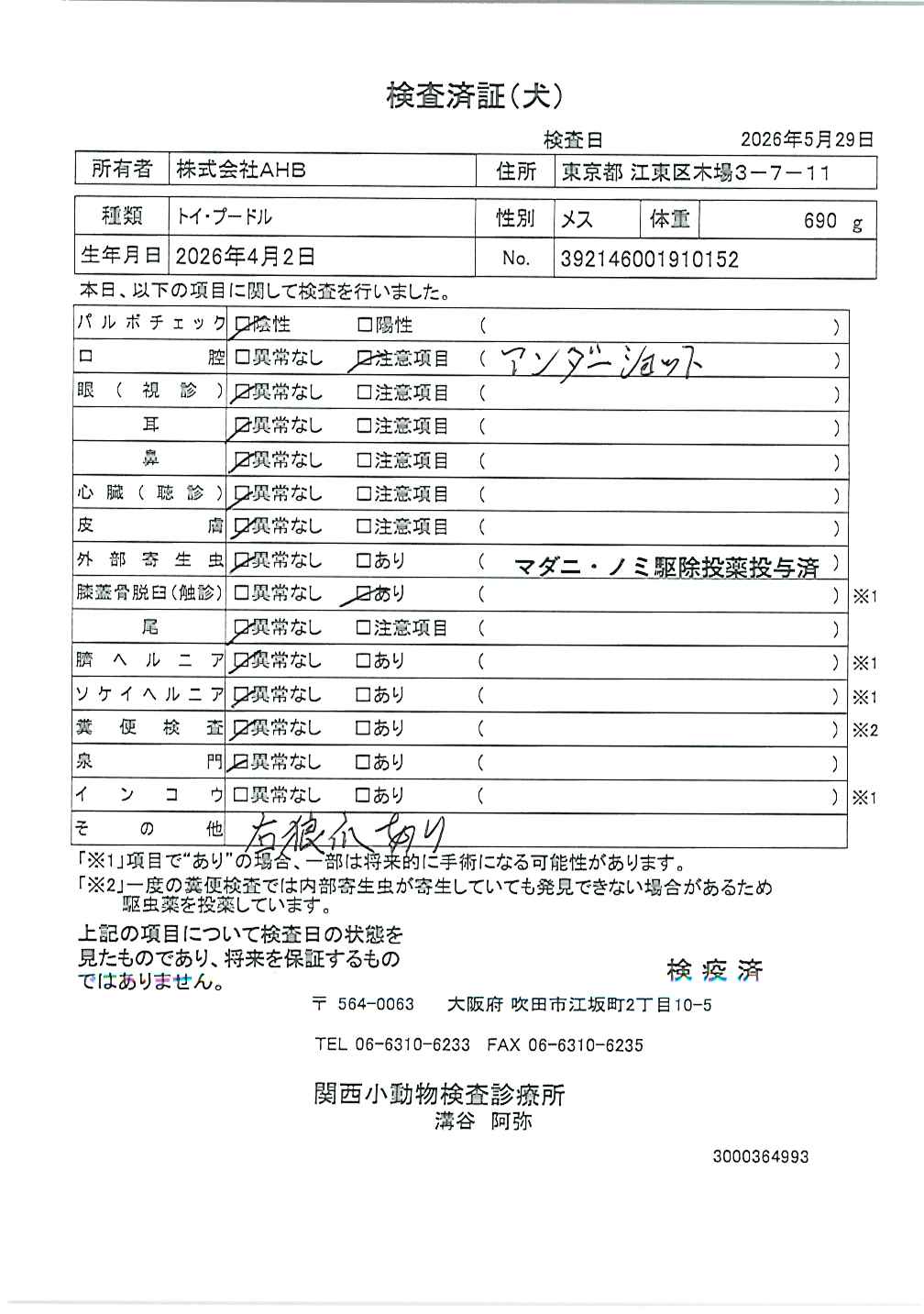 トイ・プードル