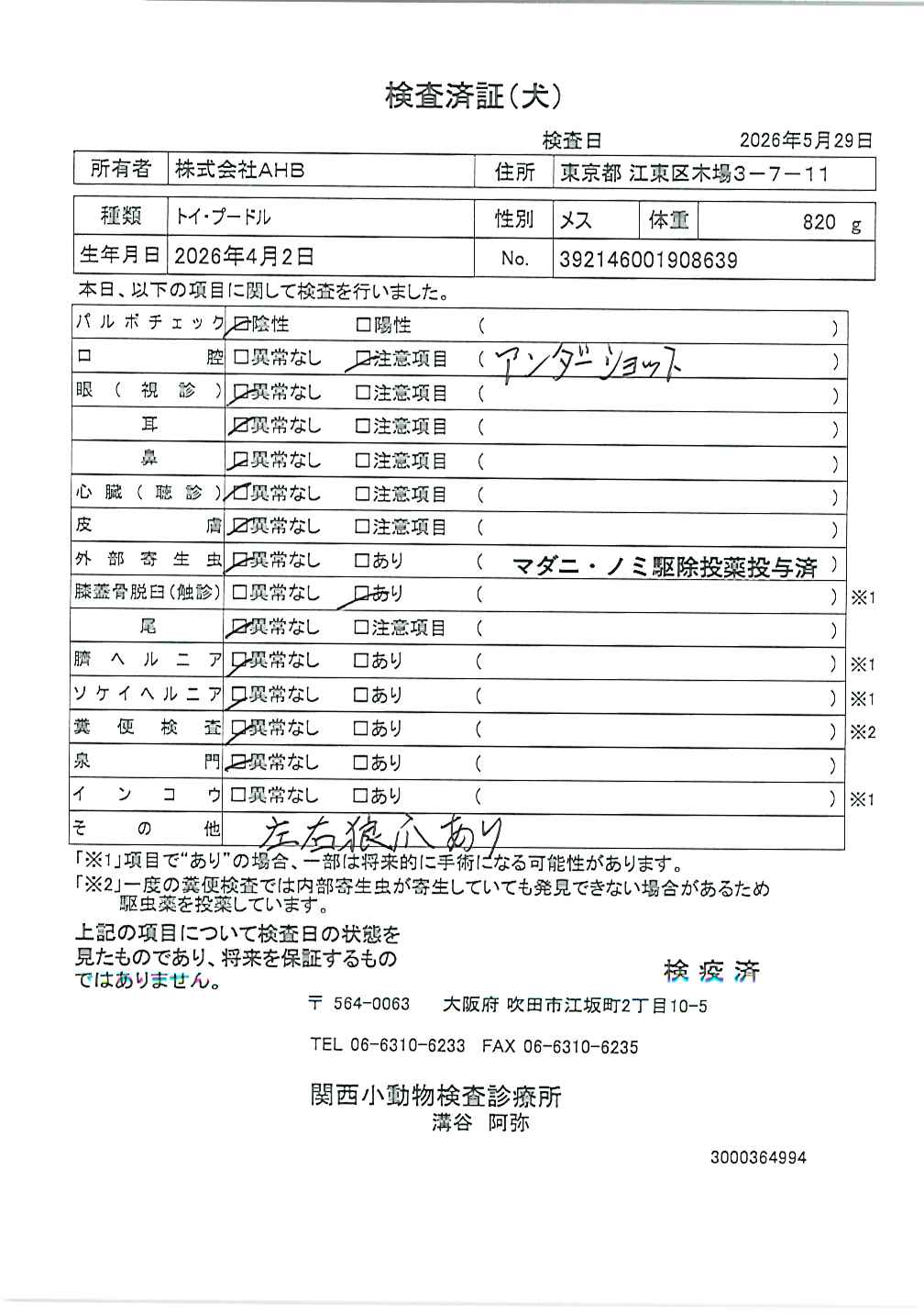 トイ・プードル