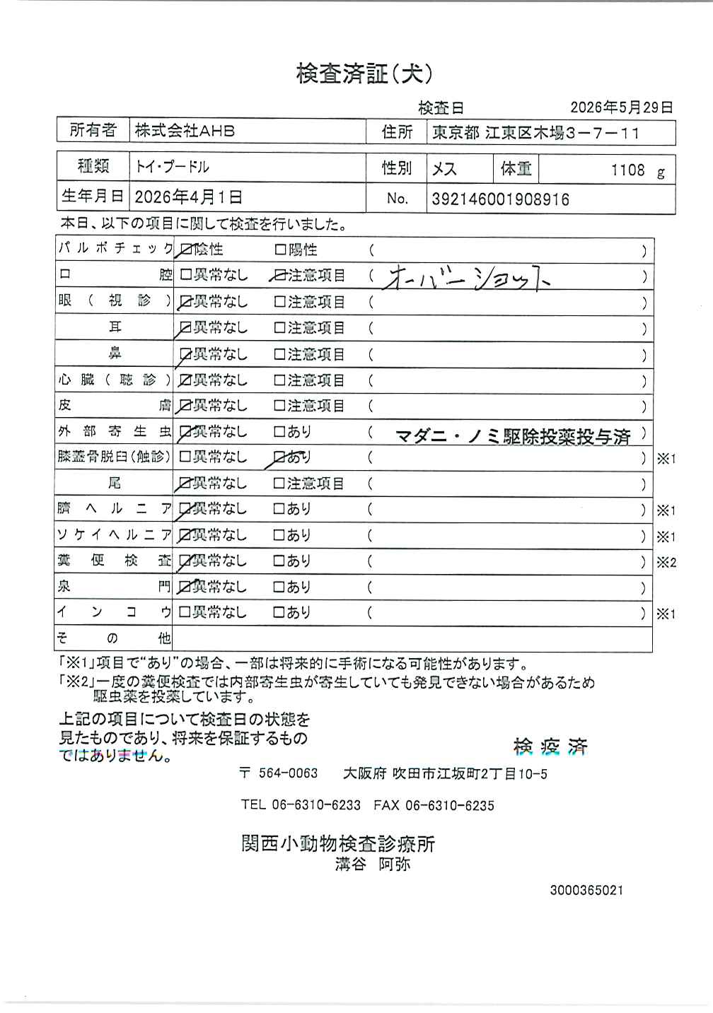 トイ・プードル