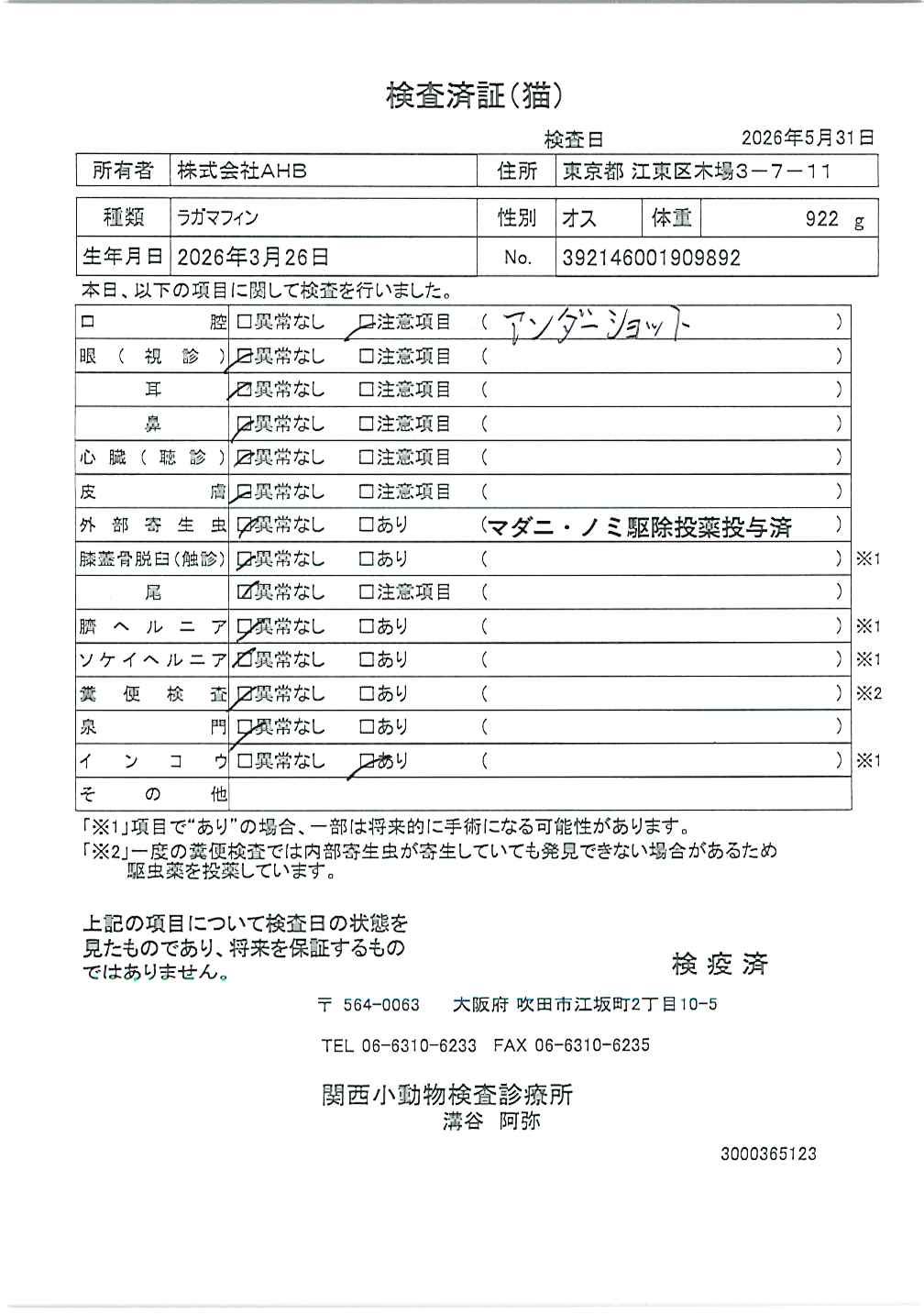 ラガマフィン