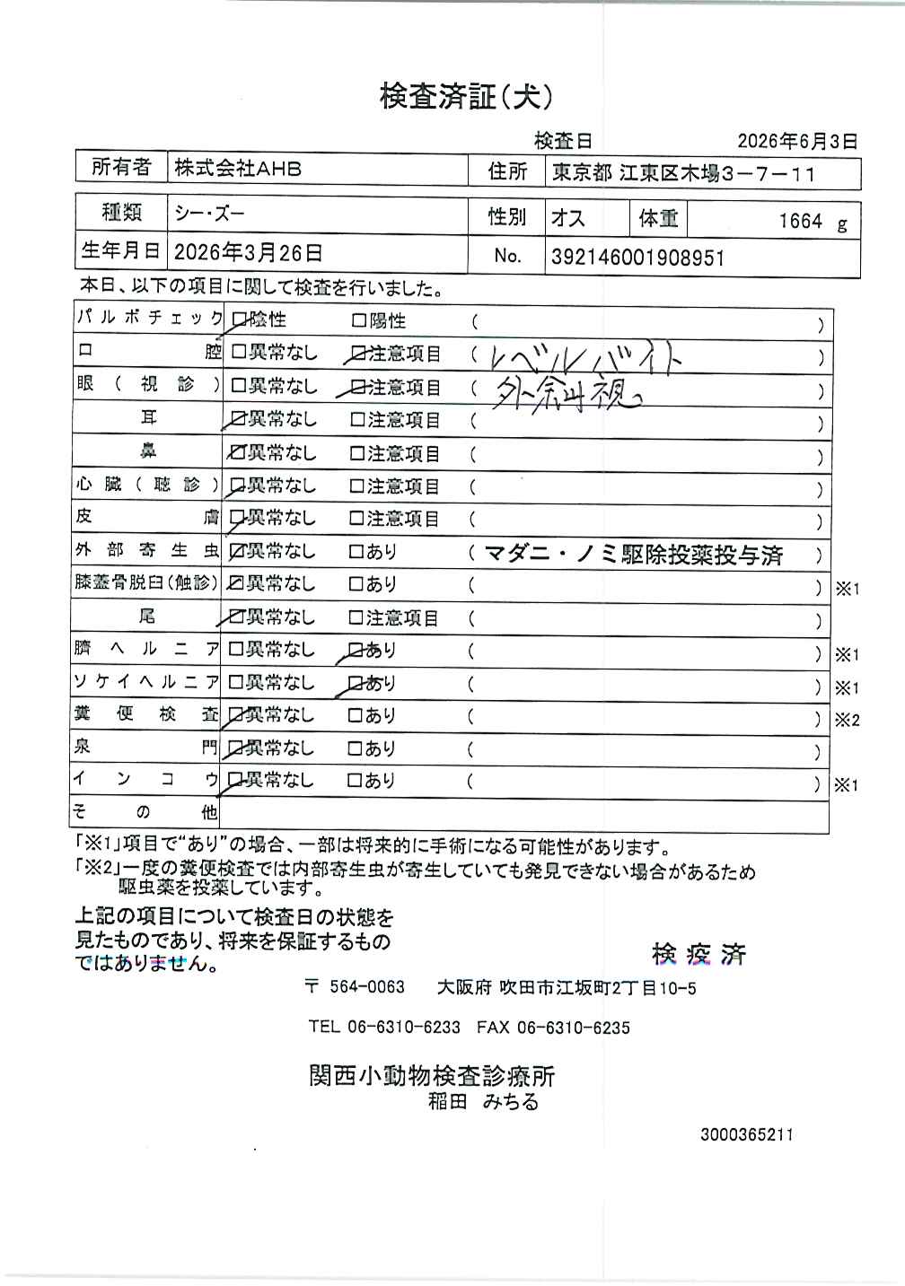 シー・ズー