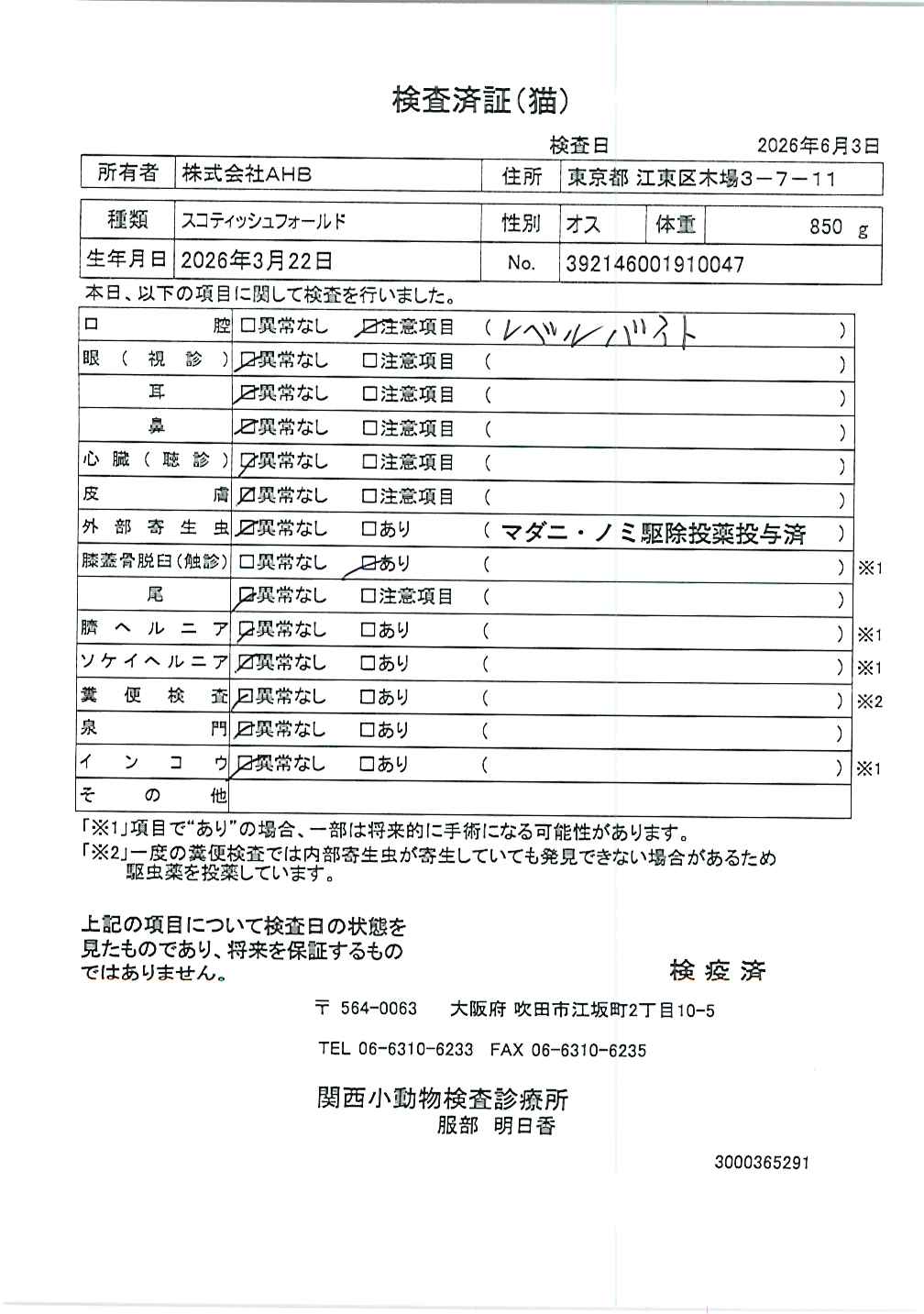 スコティッシュフォールド