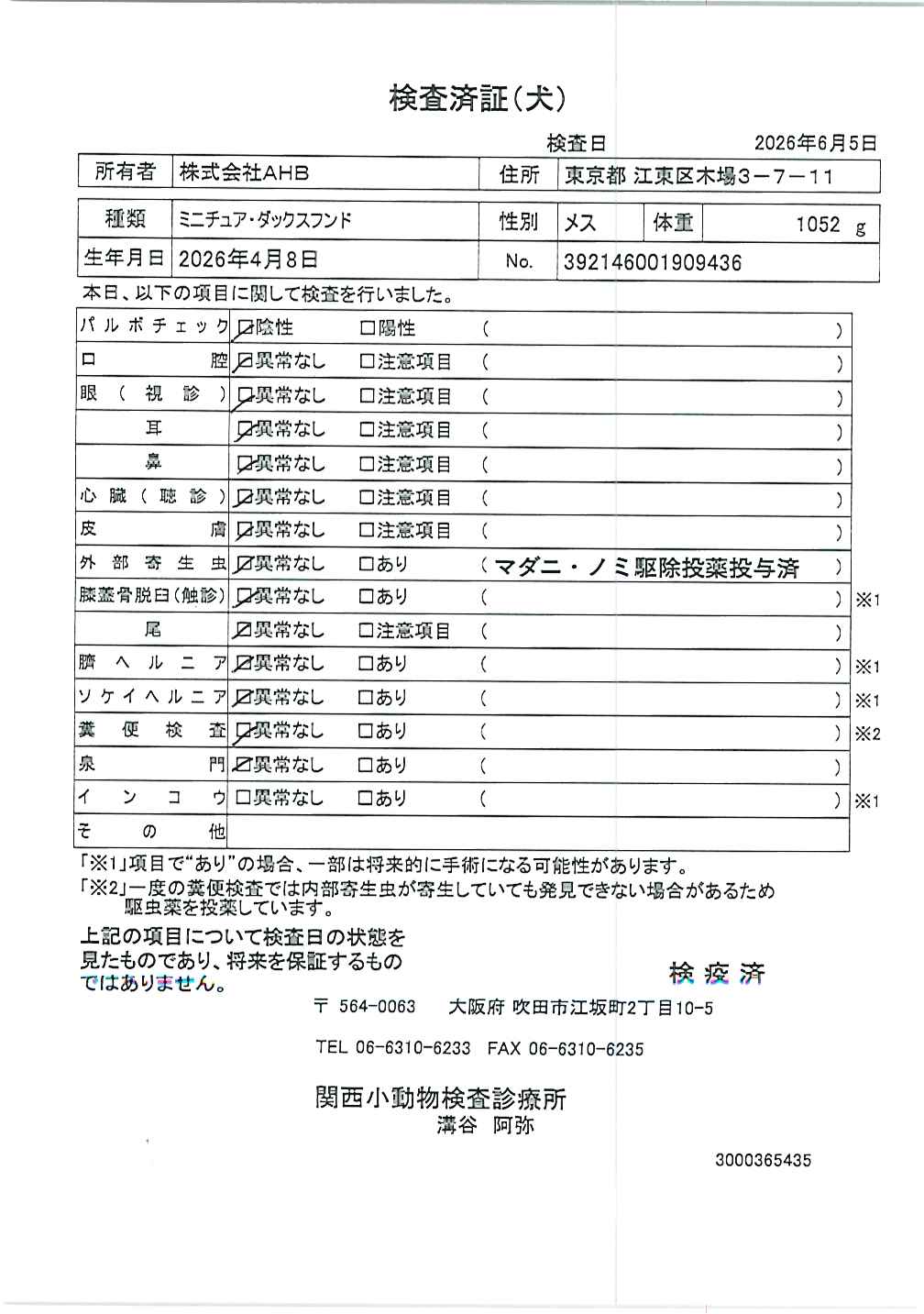 ミニチュア・ダックスフンド