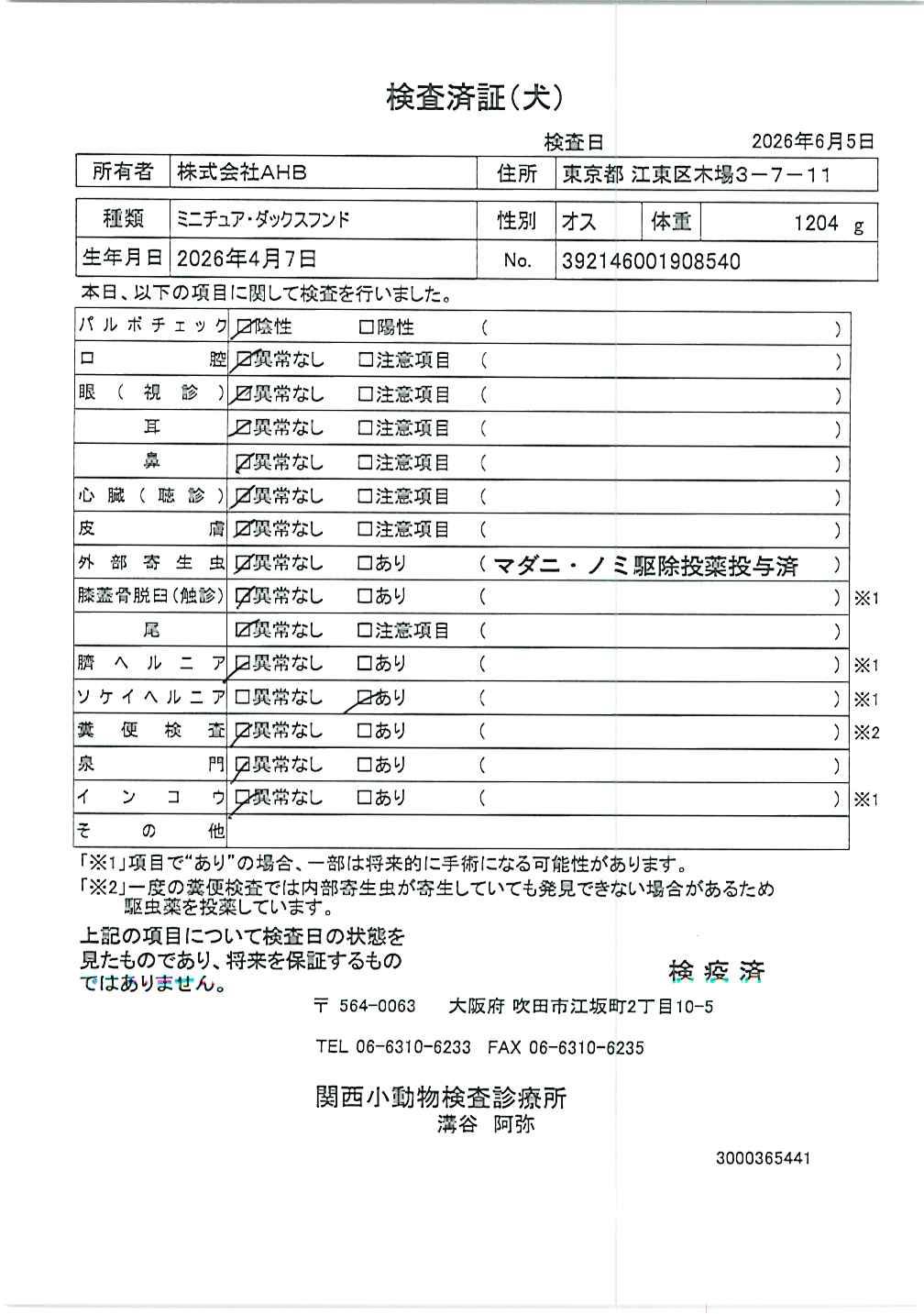 ミニチュア・ダックスフンド