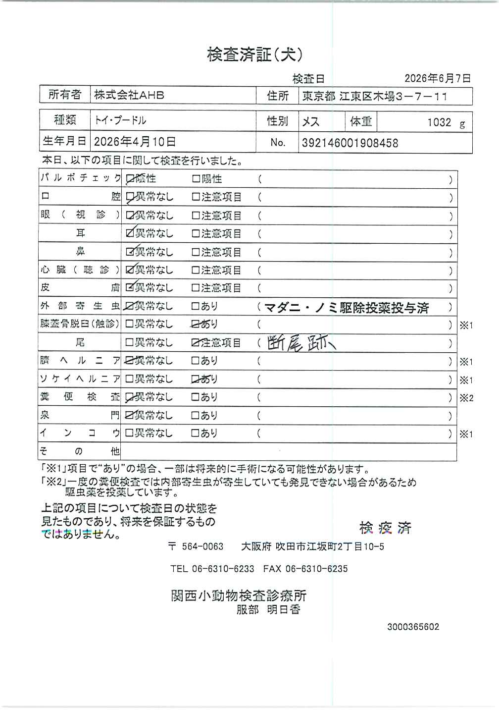 トイ・プードル