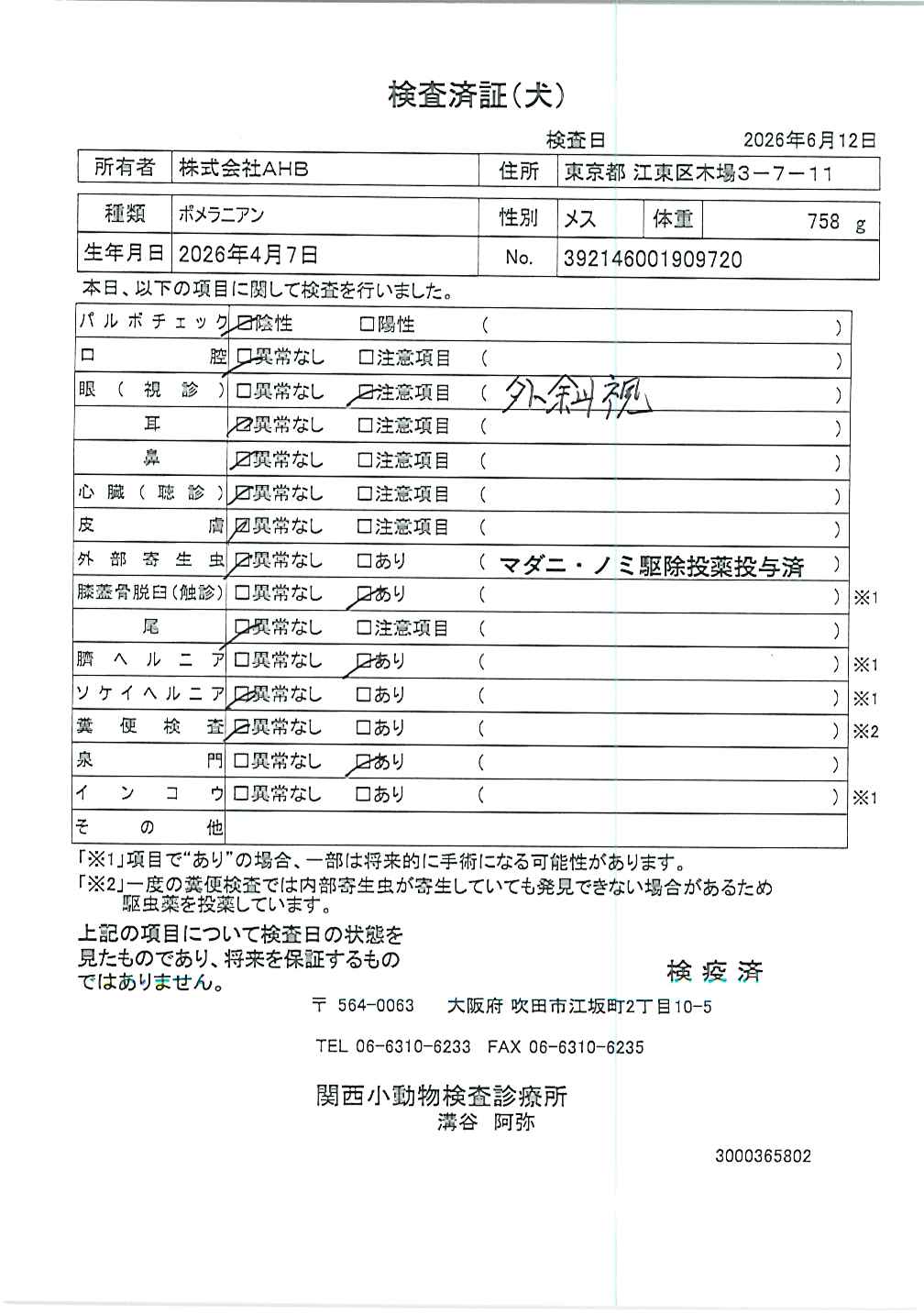 ポメラニアン