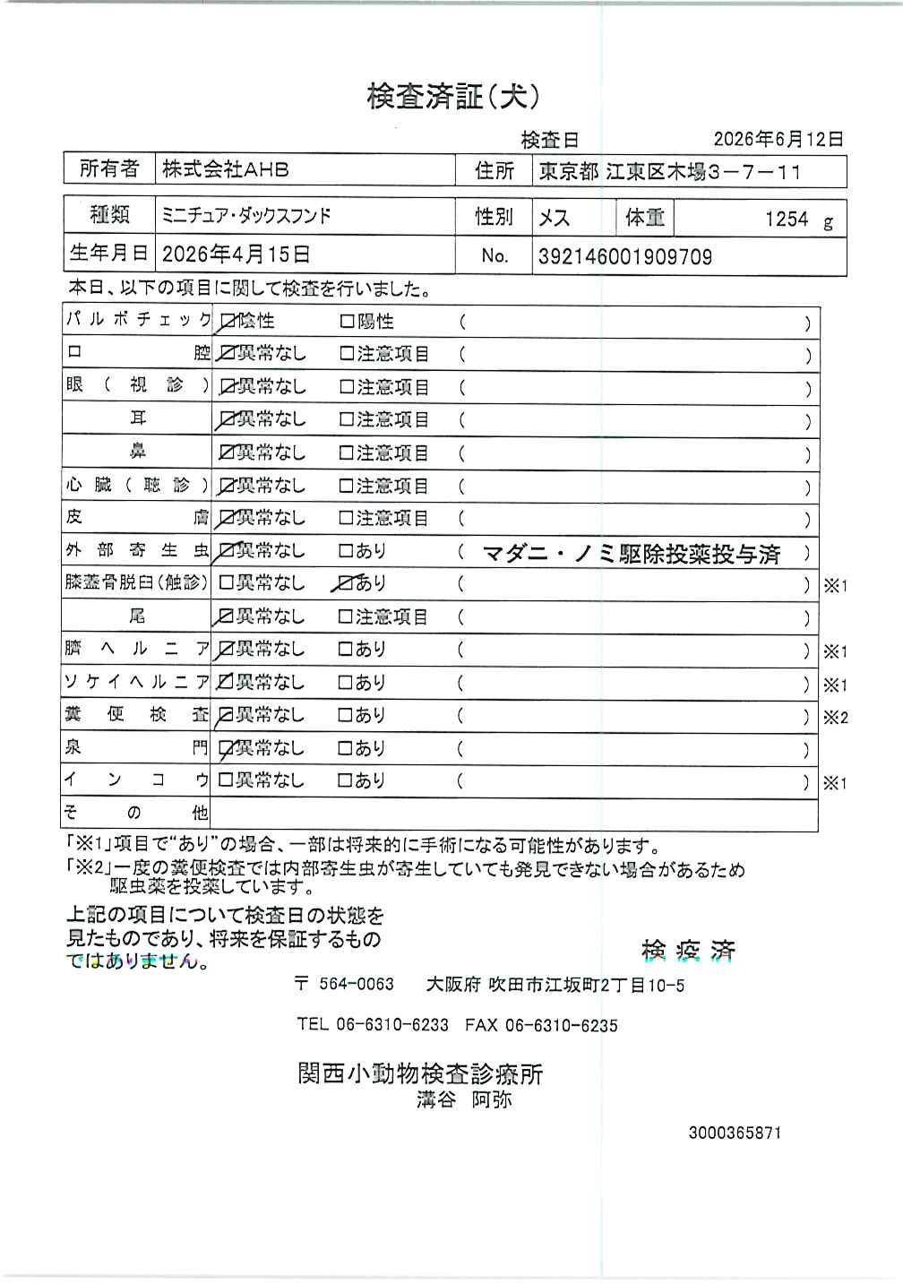 ミニチュア・ダックスフンド