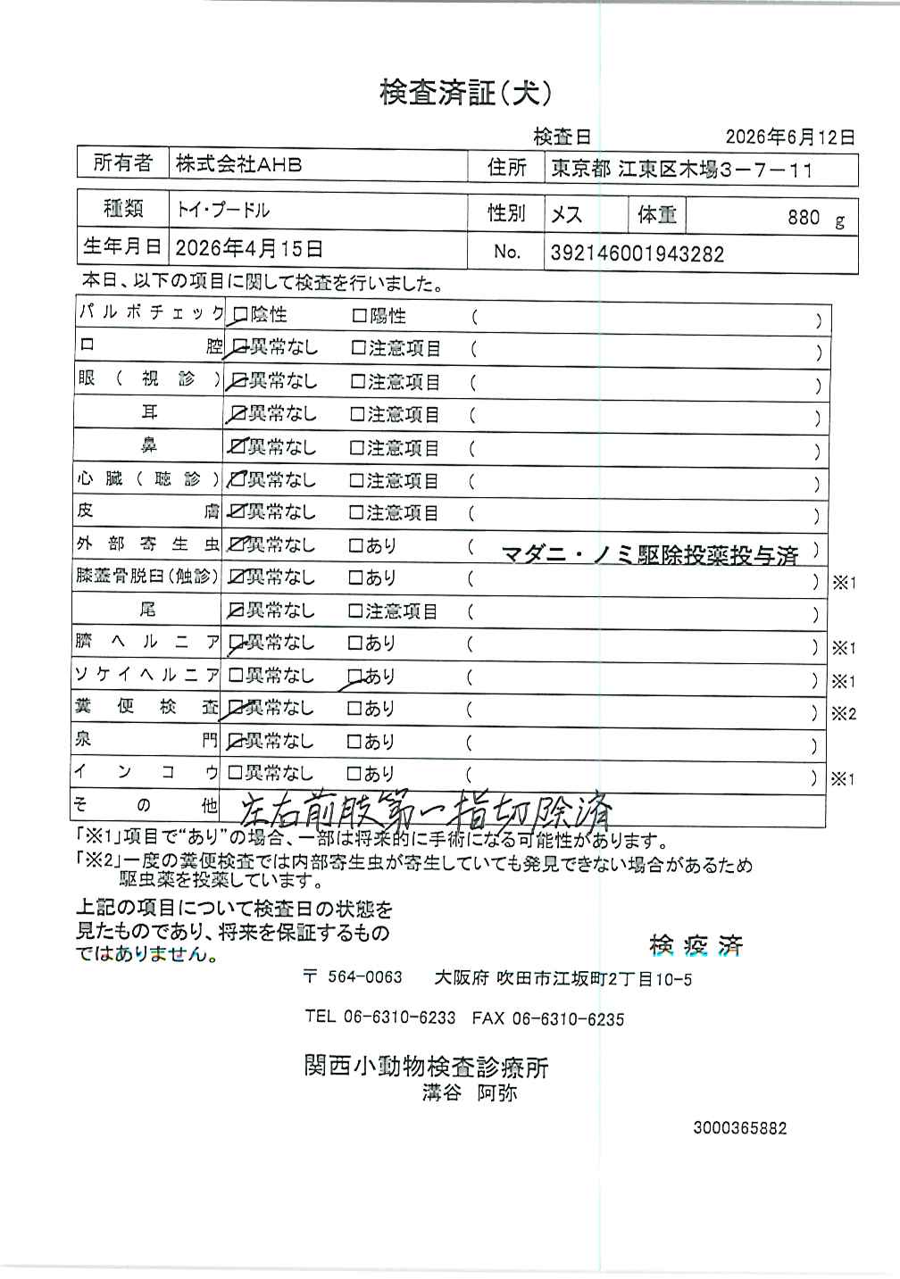 トイ・プードル