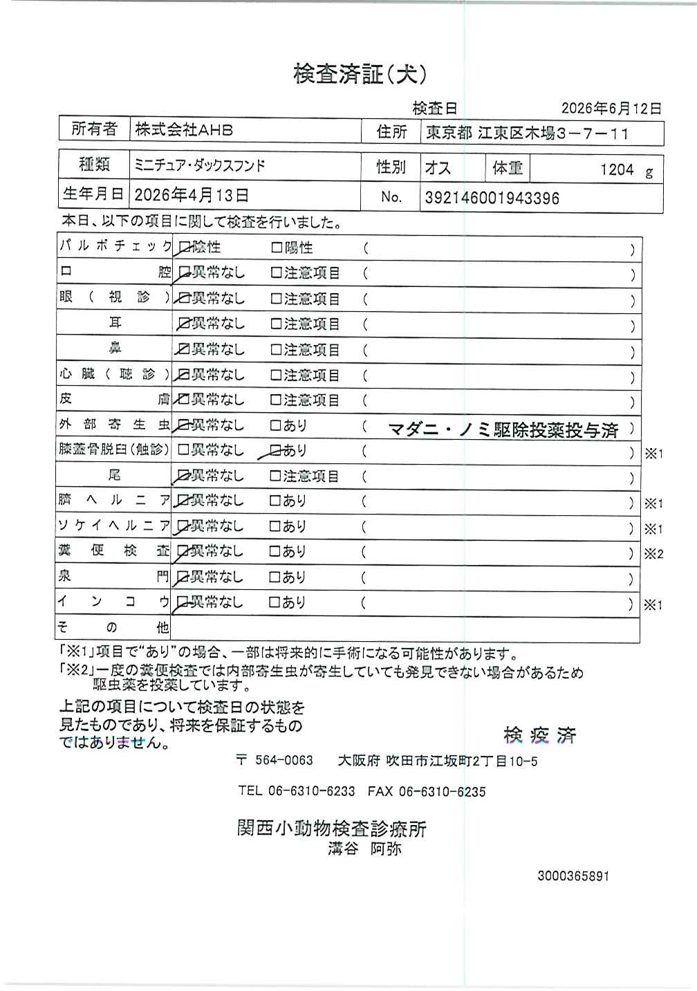 ミニチュア・ダックスフンド