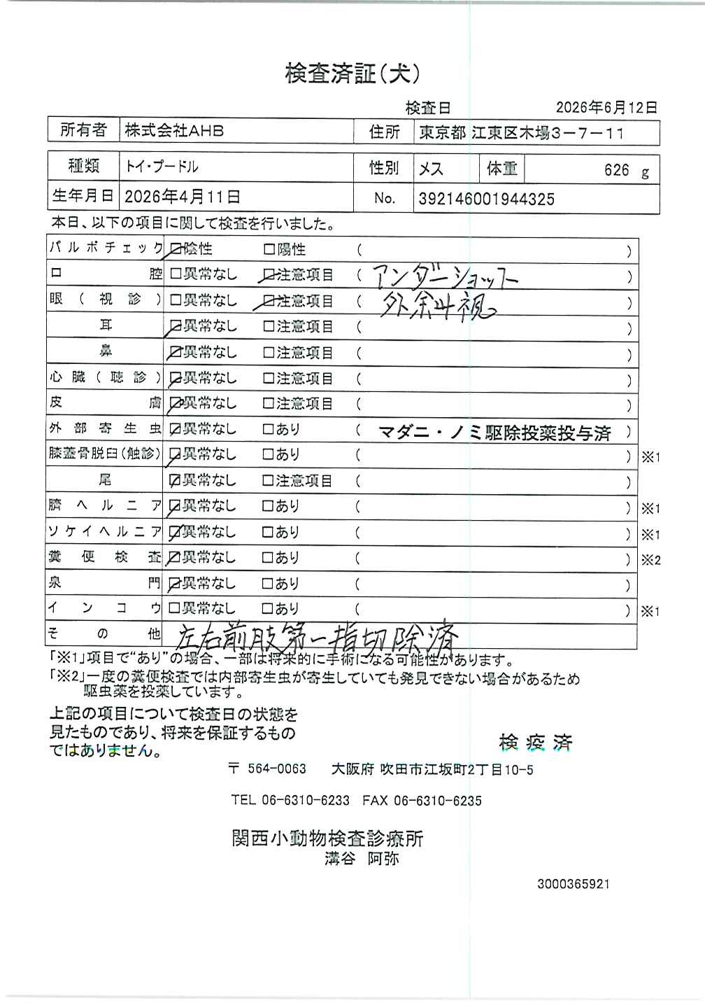 トイ・プードル