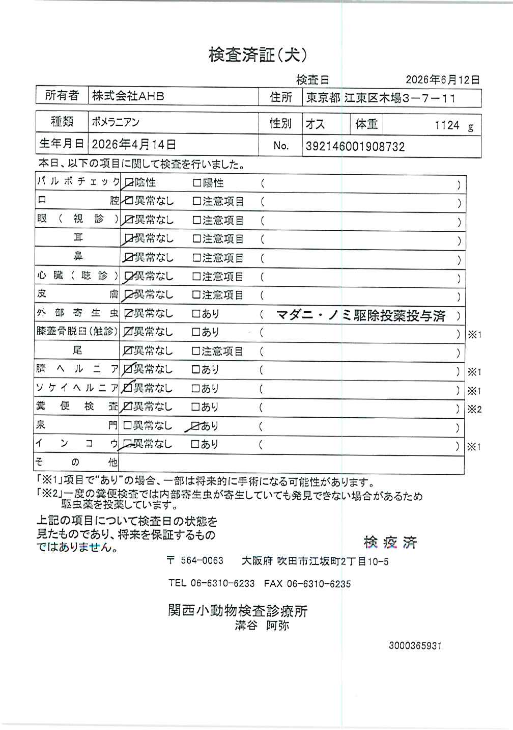 ポメラニアン