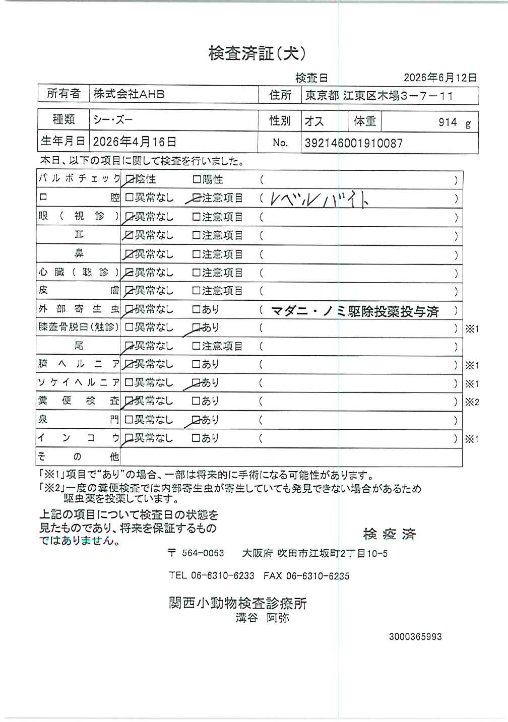 シー・ズー