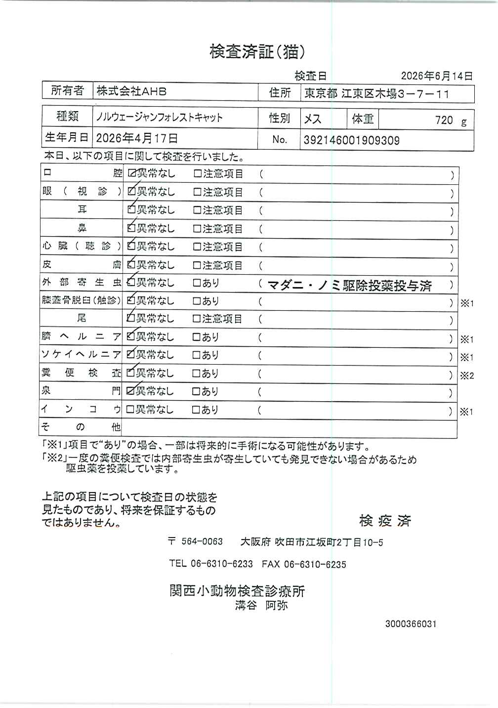 ノルウェージャンフォレストキャット