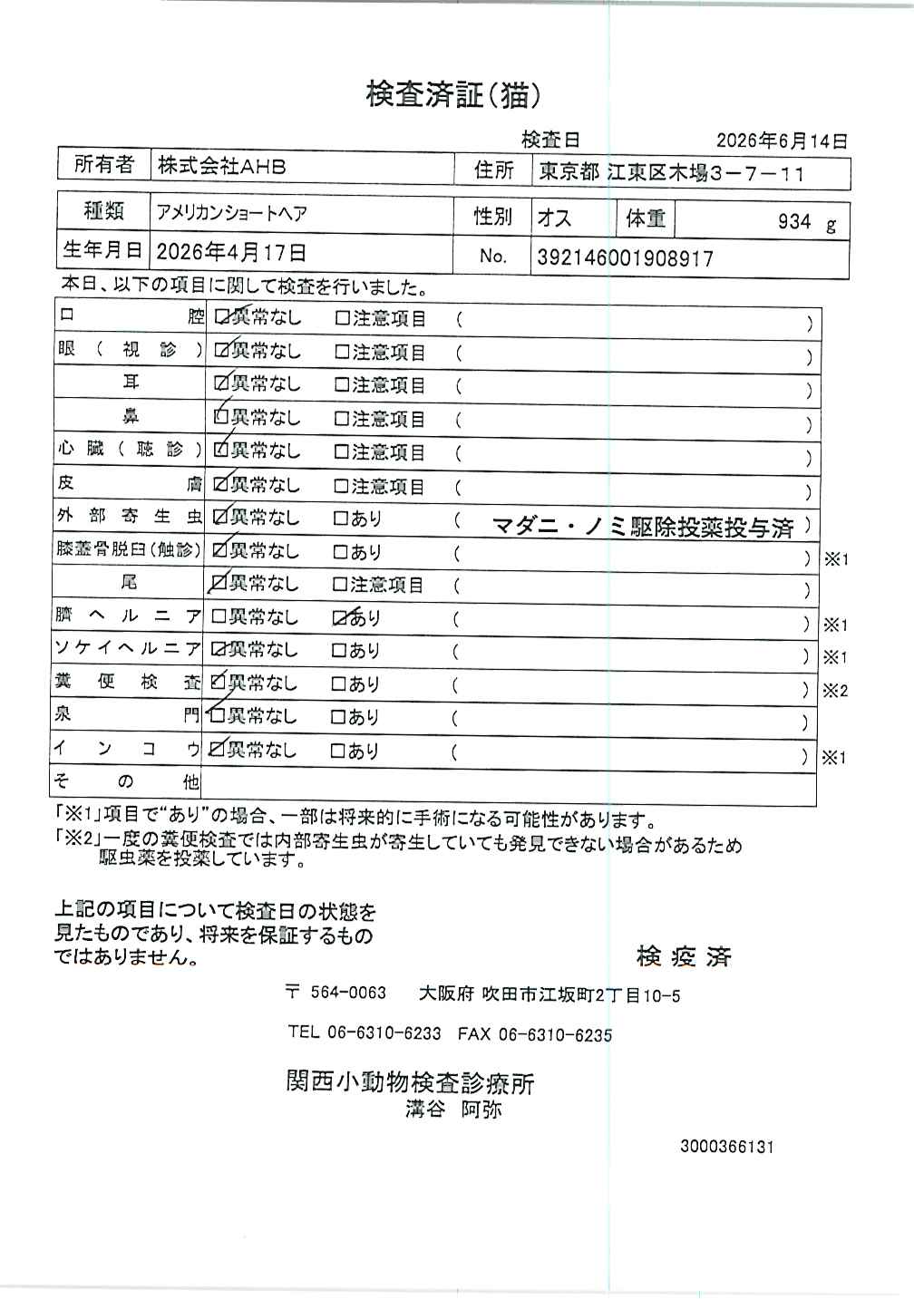 アメリカンショートヘア