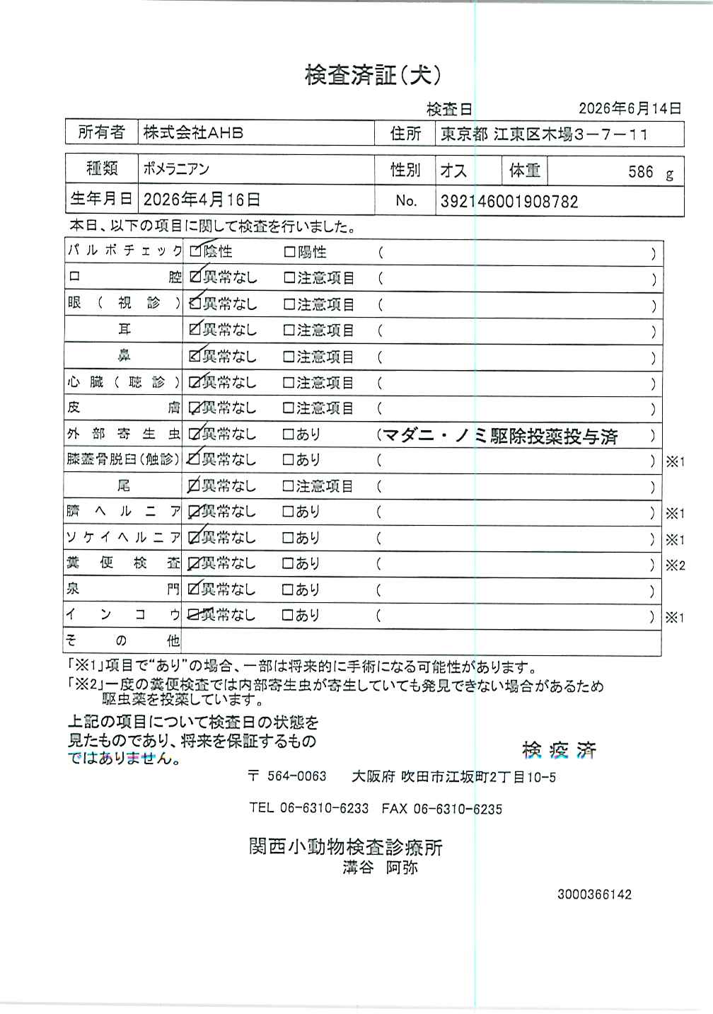 ポメラニアン
