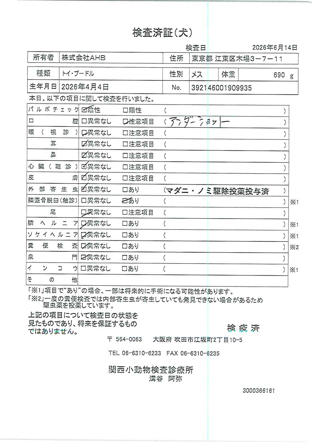 トイ・プードル