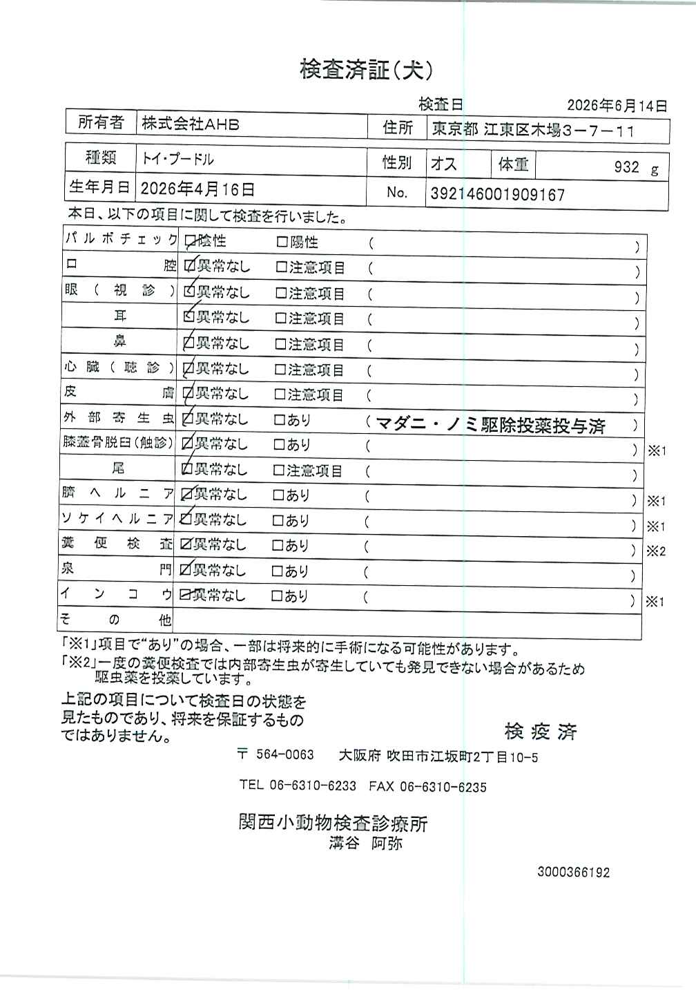 トイ・プードル