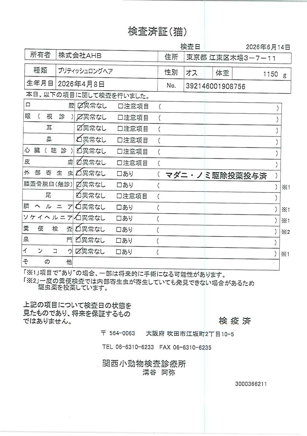 ブリティッシュロングヘア