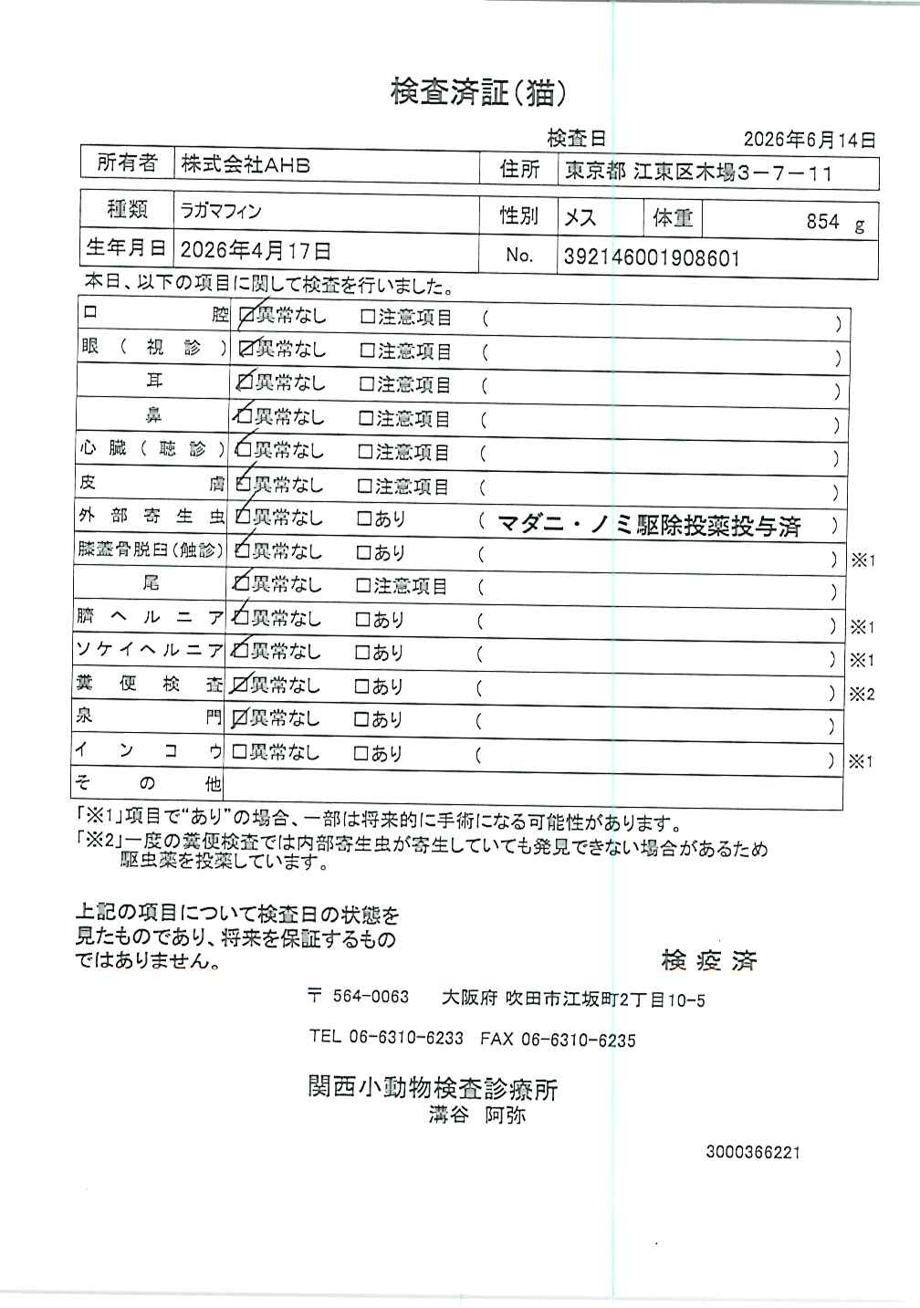 ラガマフィン
