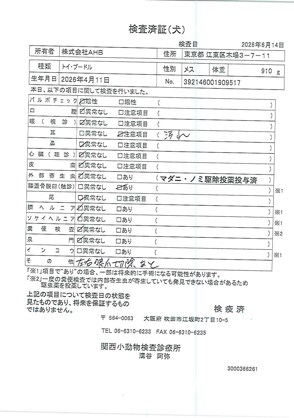 トイ・プードル