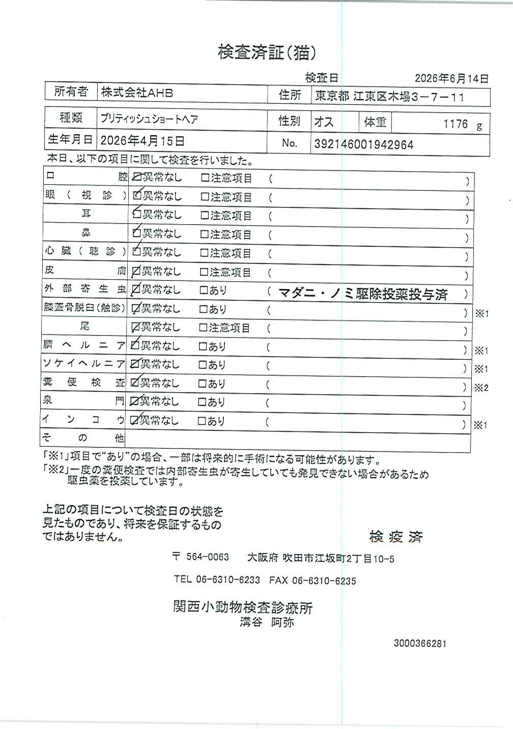 ブリティッシュショートヘア