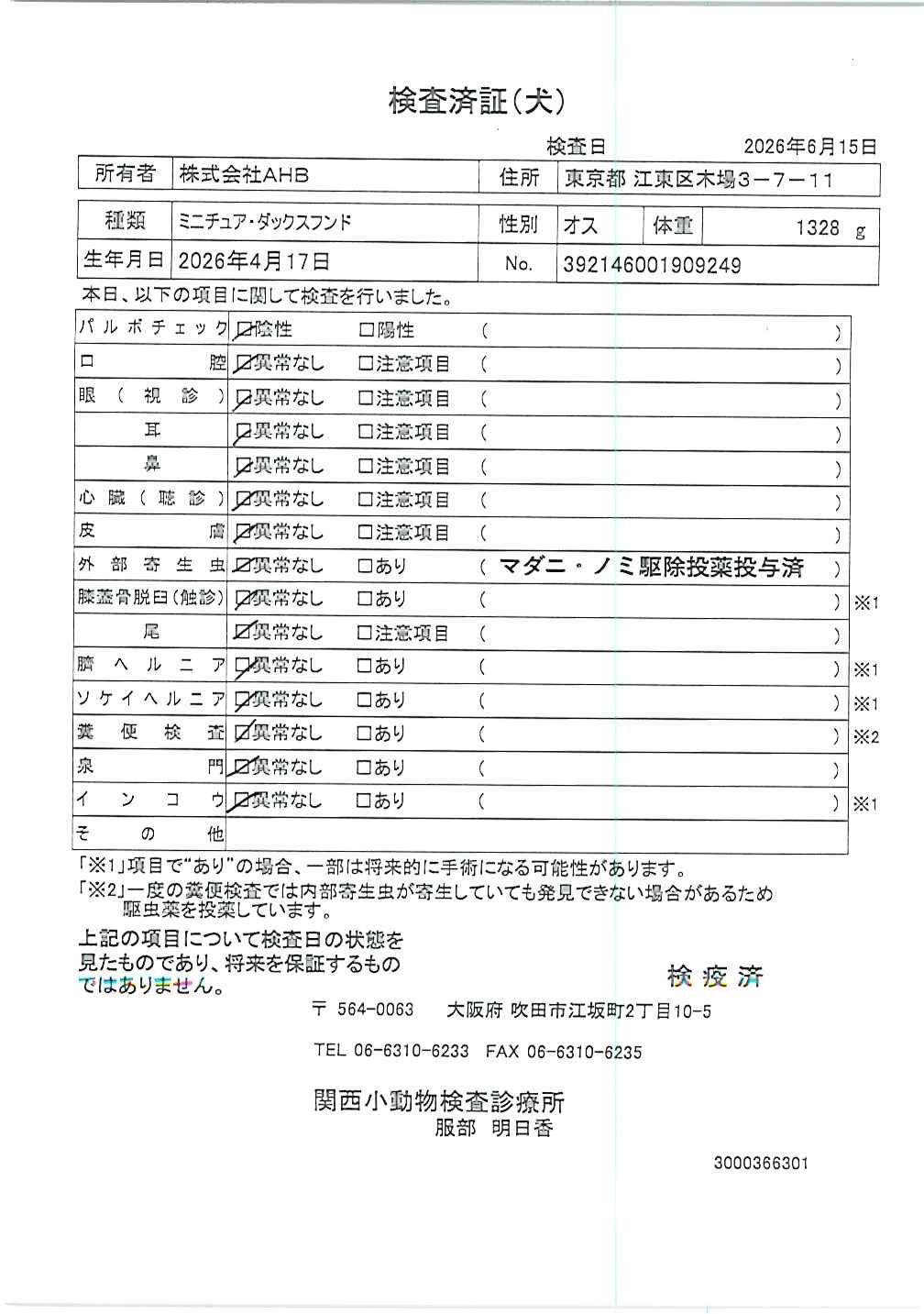 ミニチュア・ダックスフンド