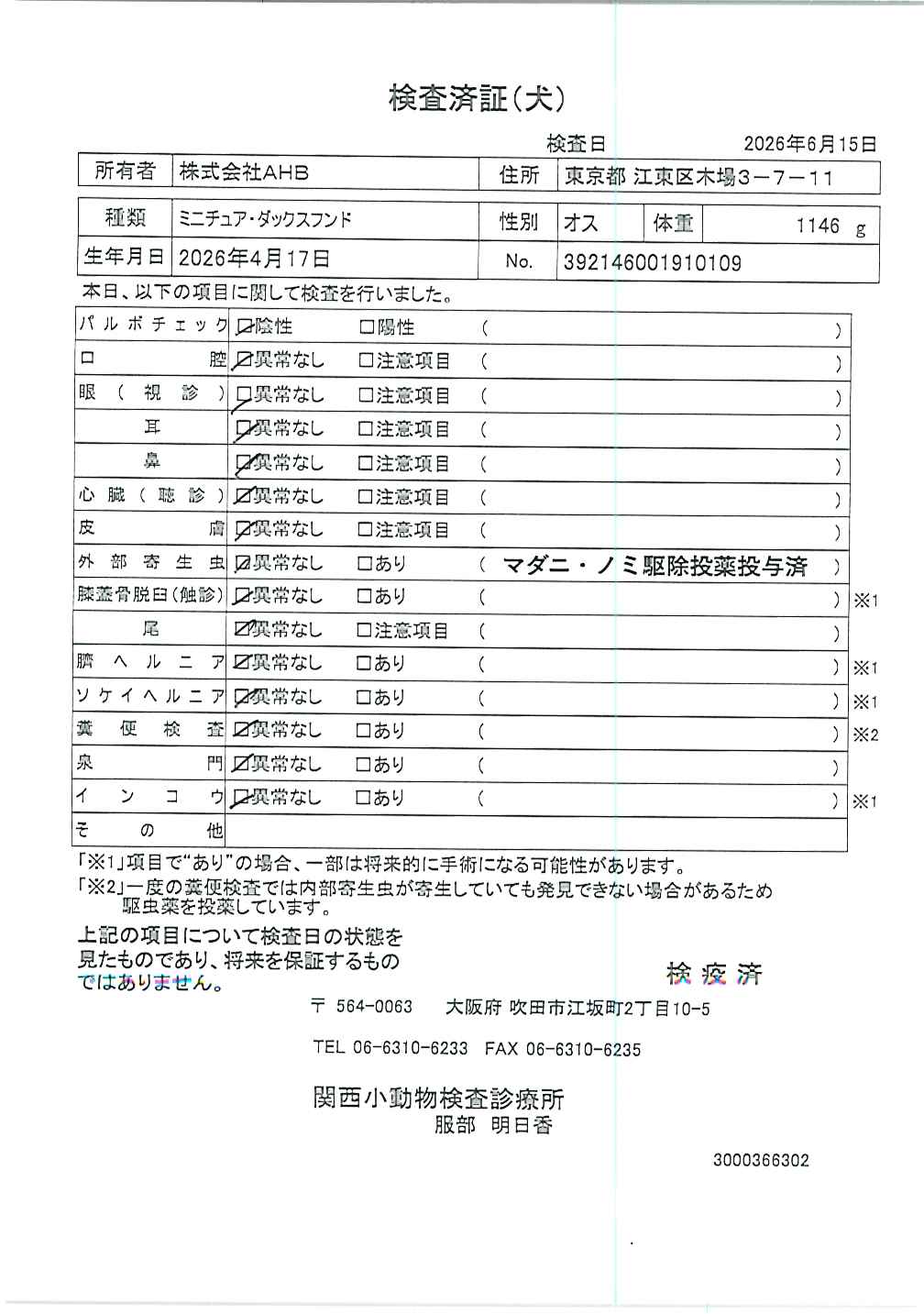 ミニチュア・ダックスフンド