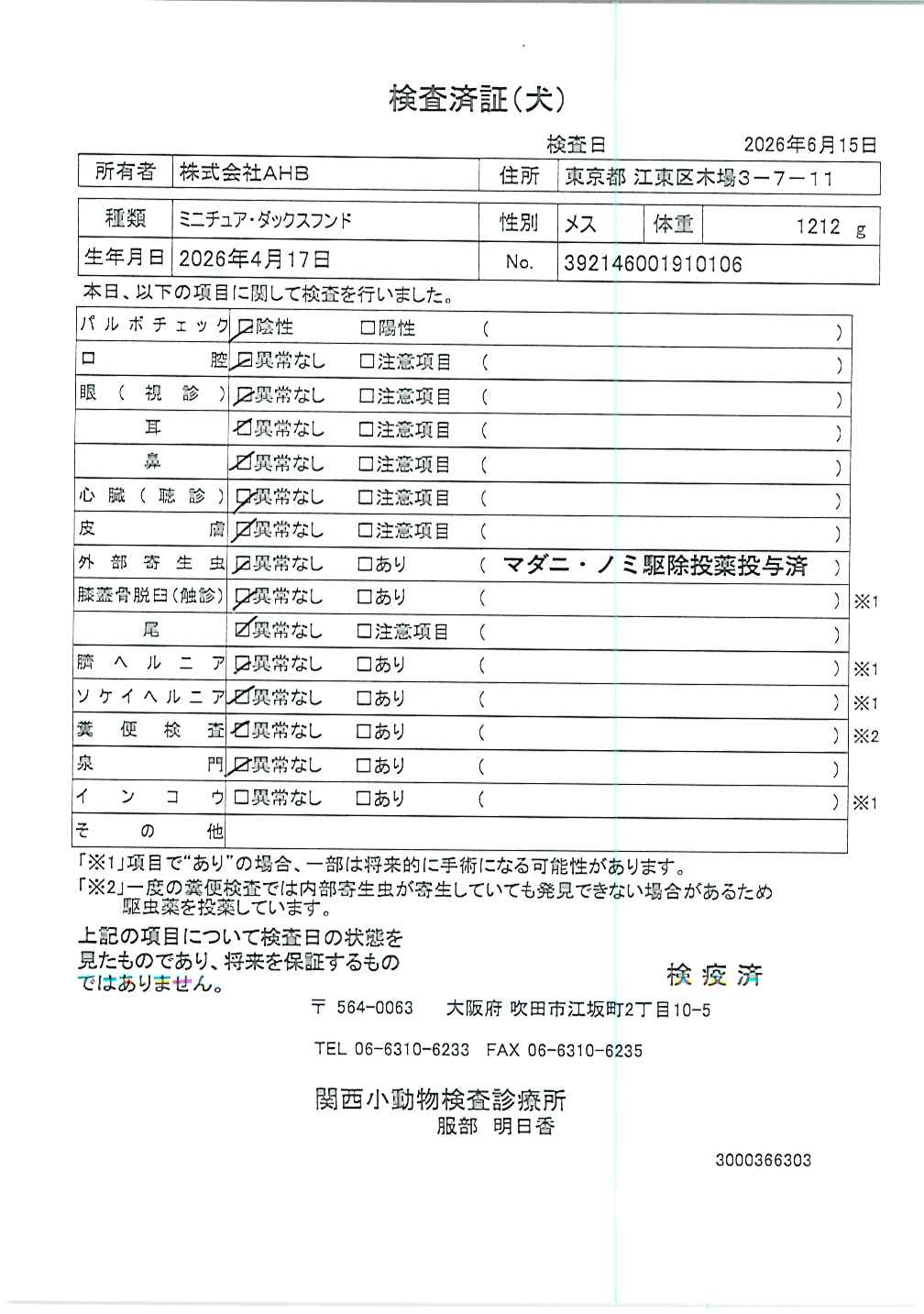 ミニチュア・ダックスフンド