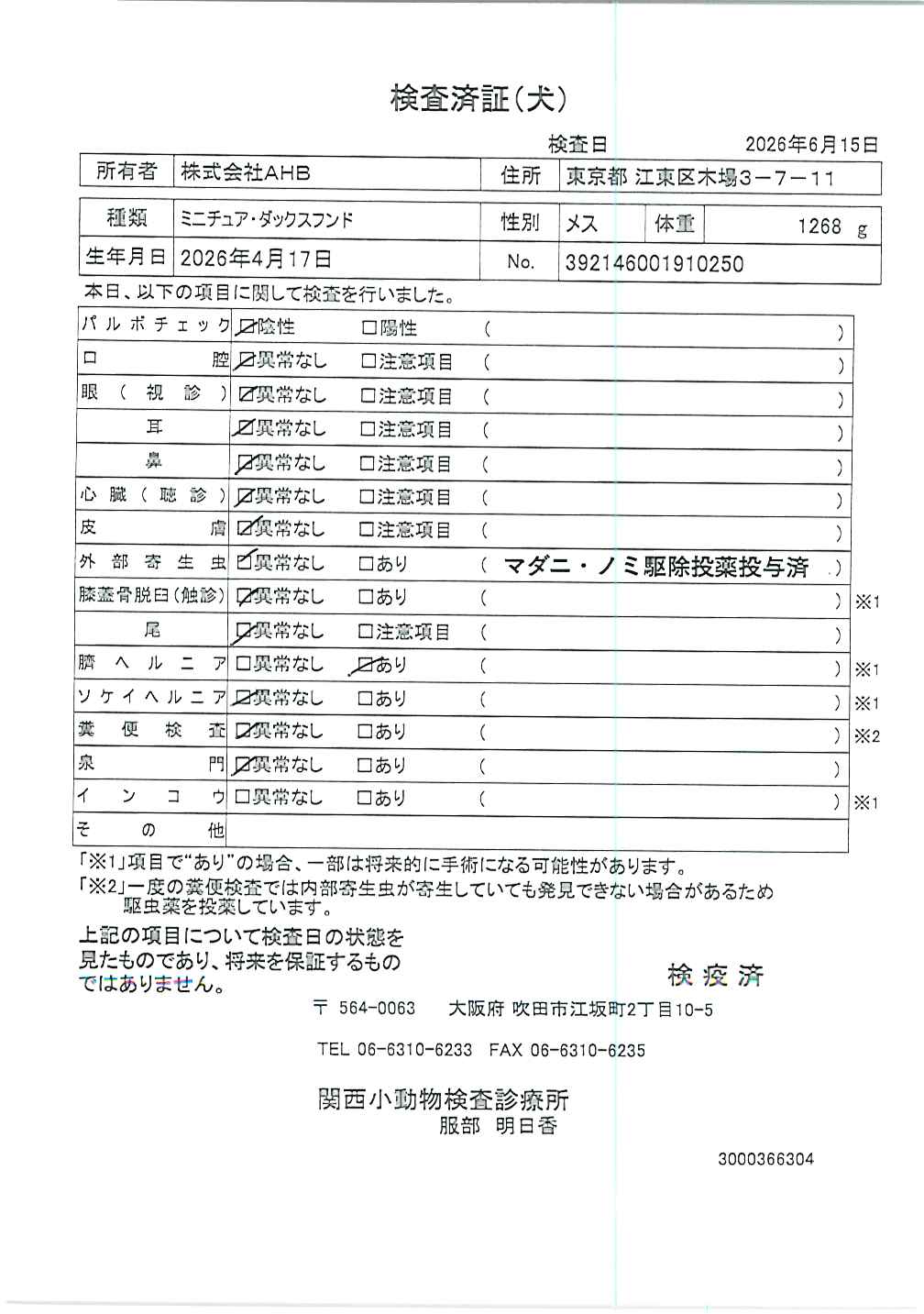 ミニチュア・ダックスフンド