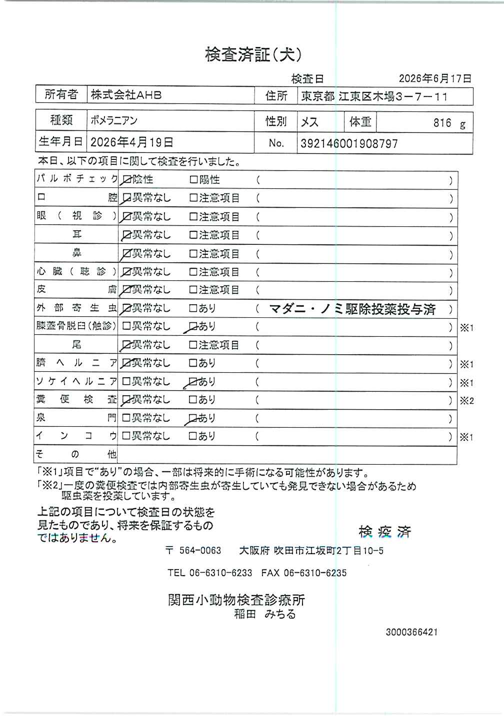 ポメラニアン