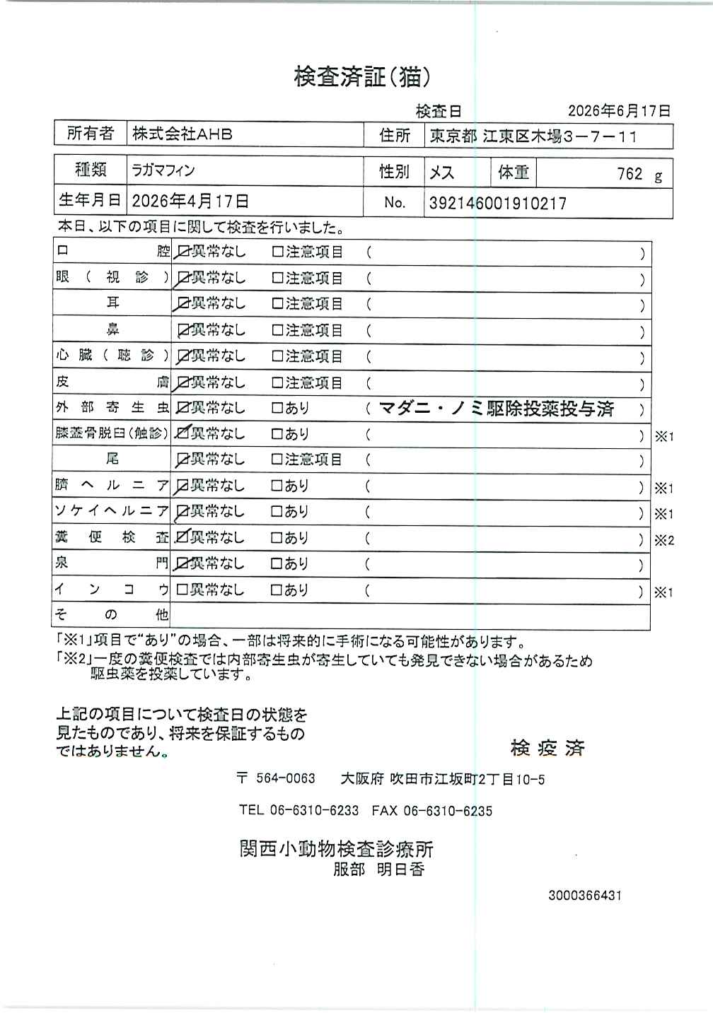 ラガマフィン