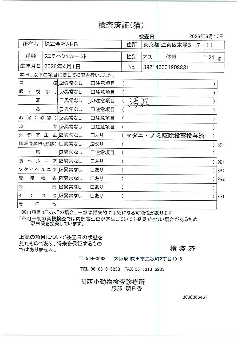 スコティッシュフォールド