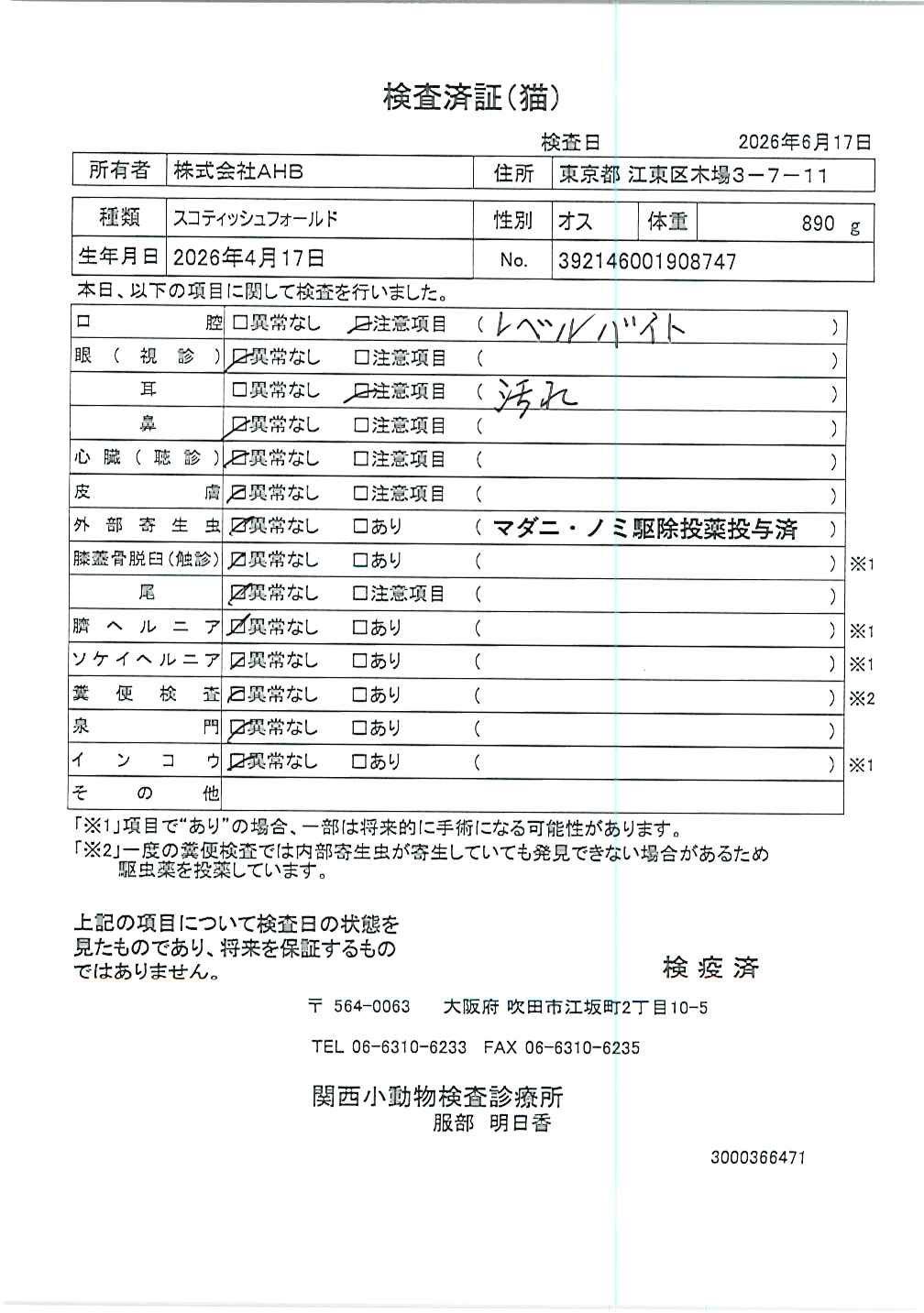 スコティッシュフォールド