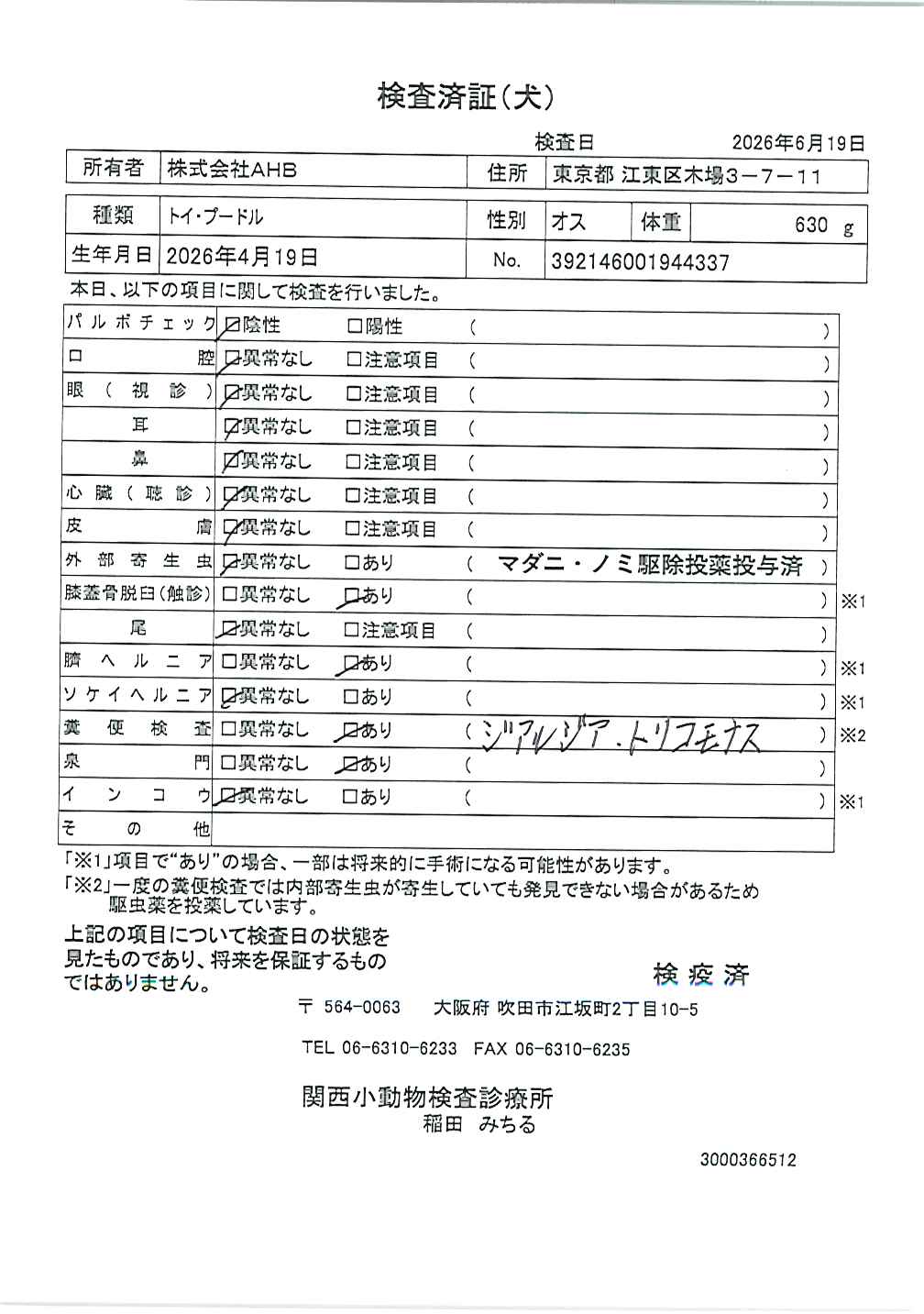 トイ・プードル