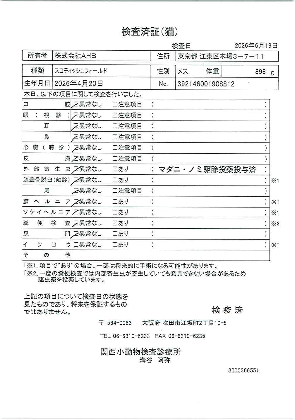 スコティッシュフォールド