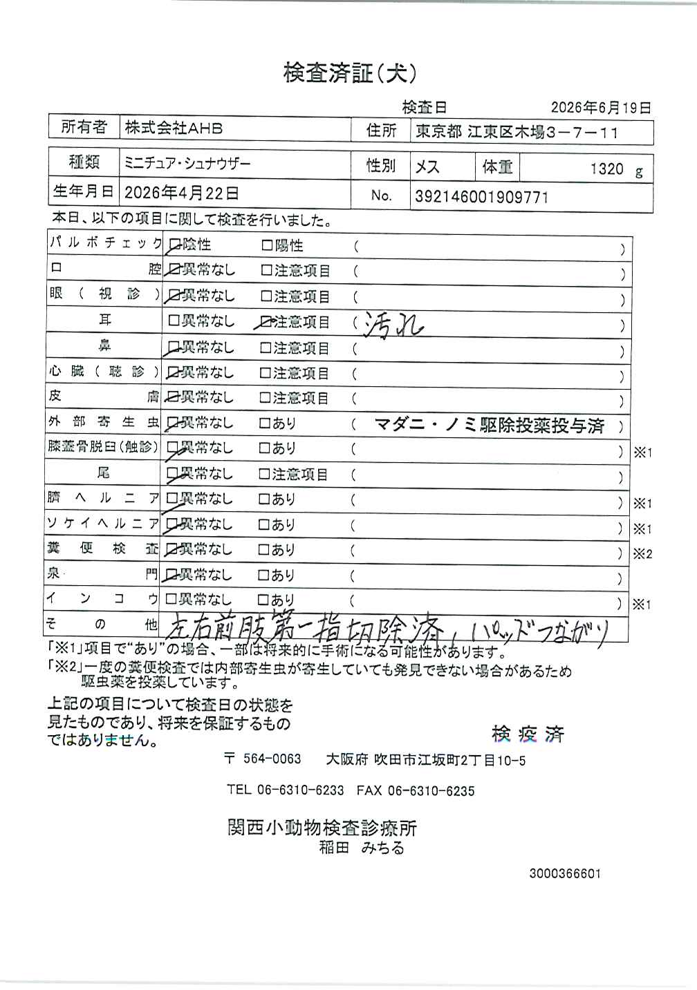 ミニチュア・シュナウザー