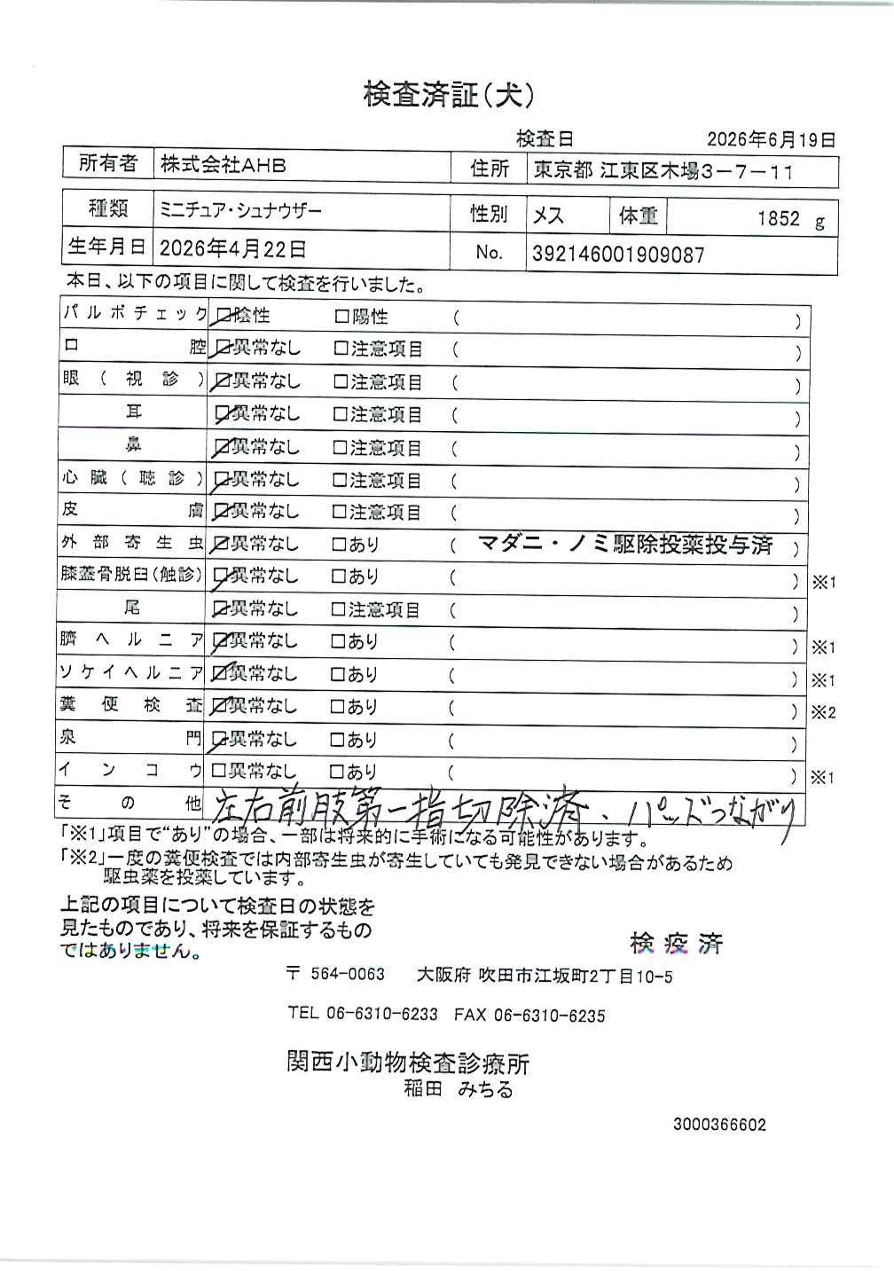 ミニチュア・シュナウザー