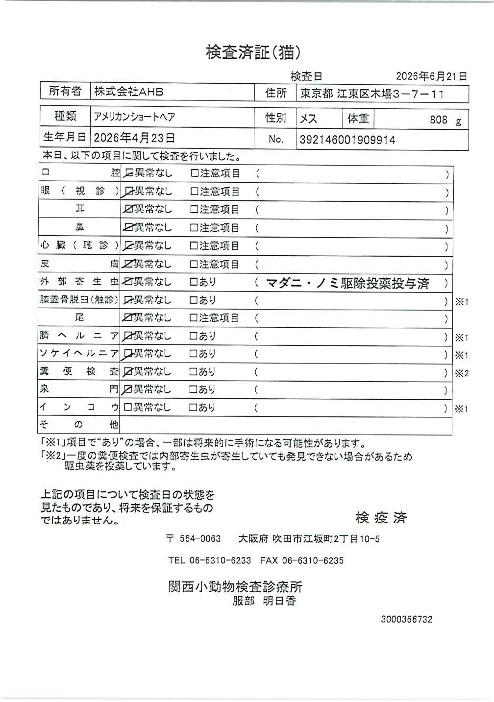 アメリカンショートヘア