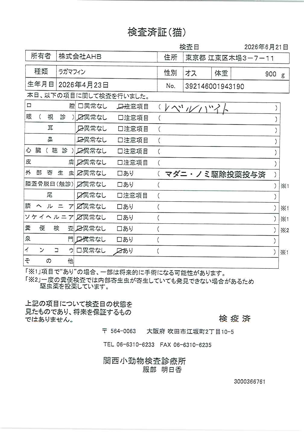 ラガマフィン