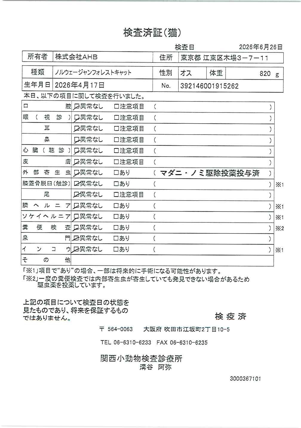 ノルウェージャンフォレストキャット