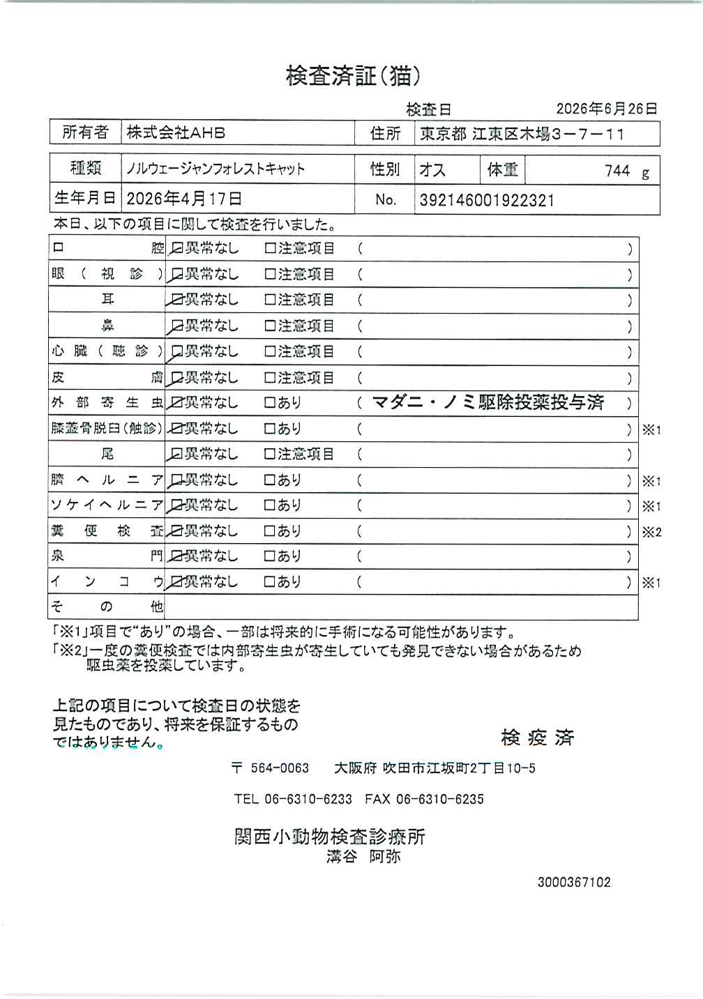 ノルウェージャンフォレストキャット