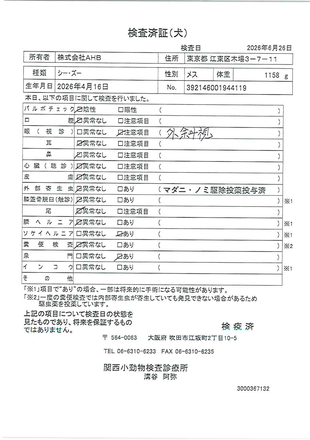 シー・ズー