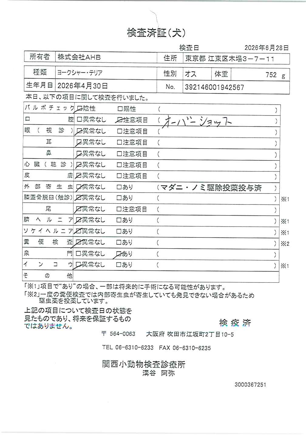 ヨークシャー・テリア
