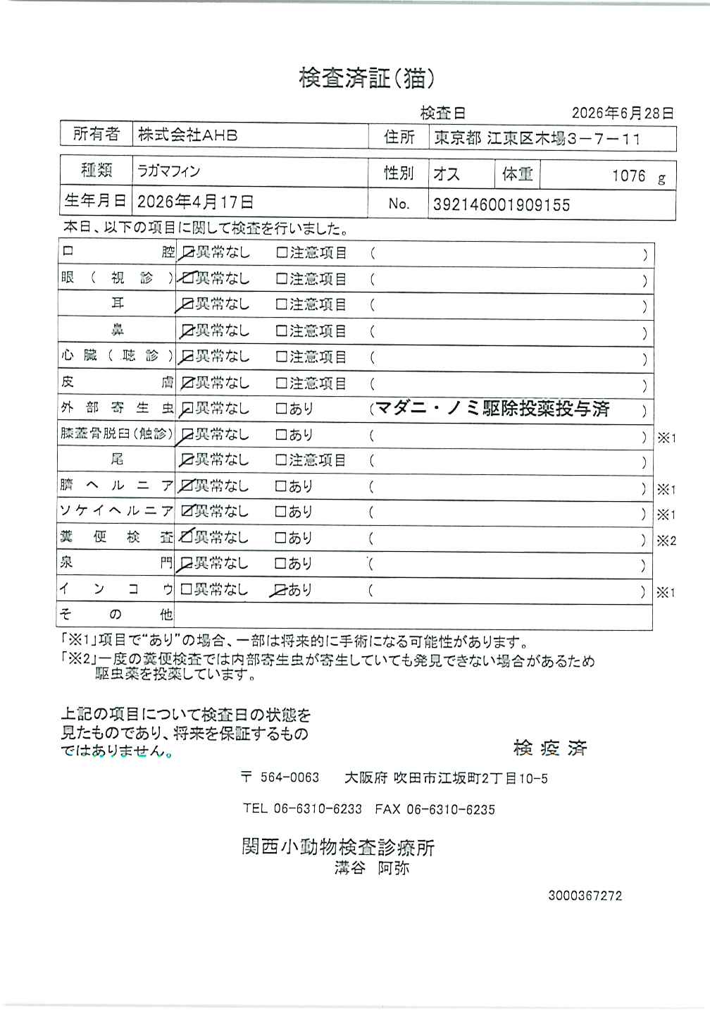 ラガマフィン