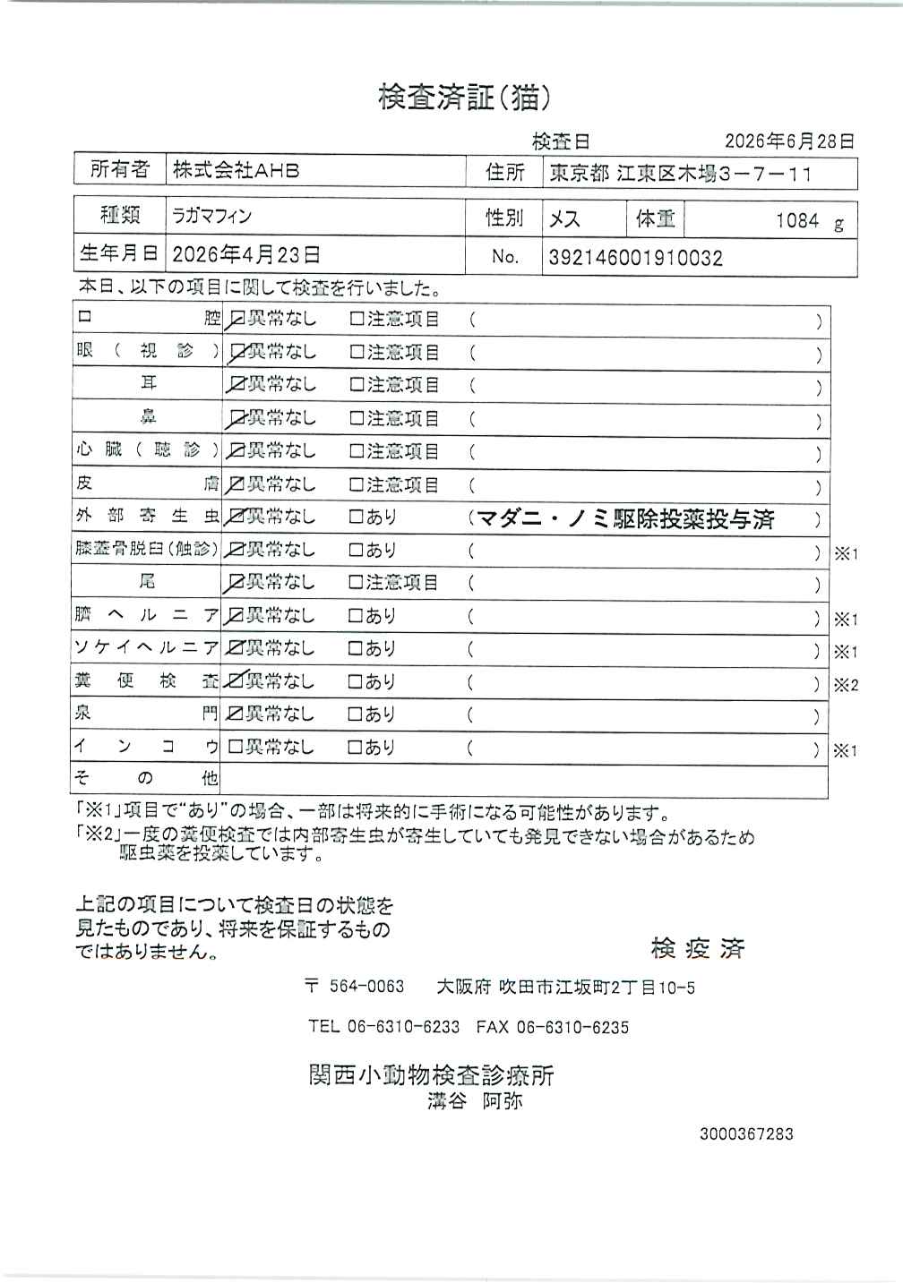 ラガマフィン