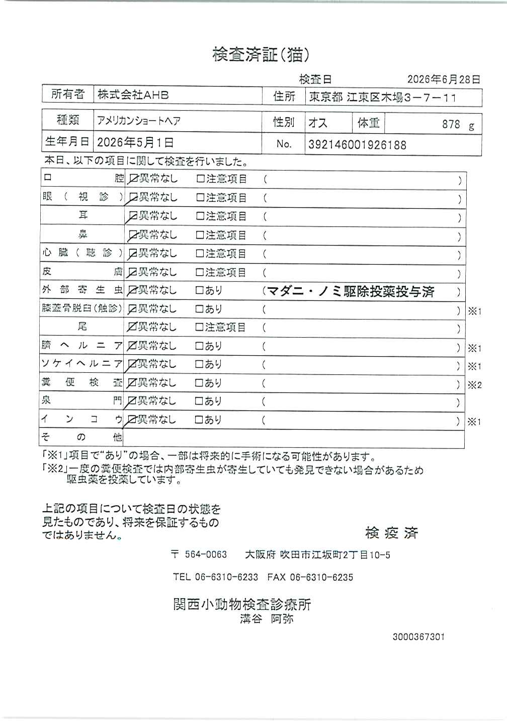 アメリカンショートヘア